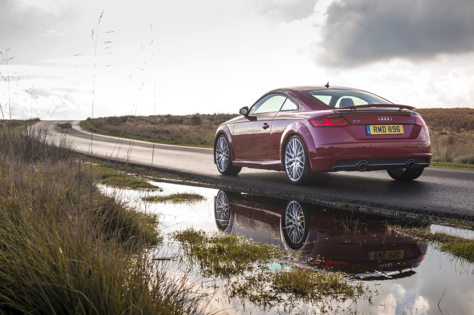 TT Coupe 1.8 TFSI 1st edition (Japan)