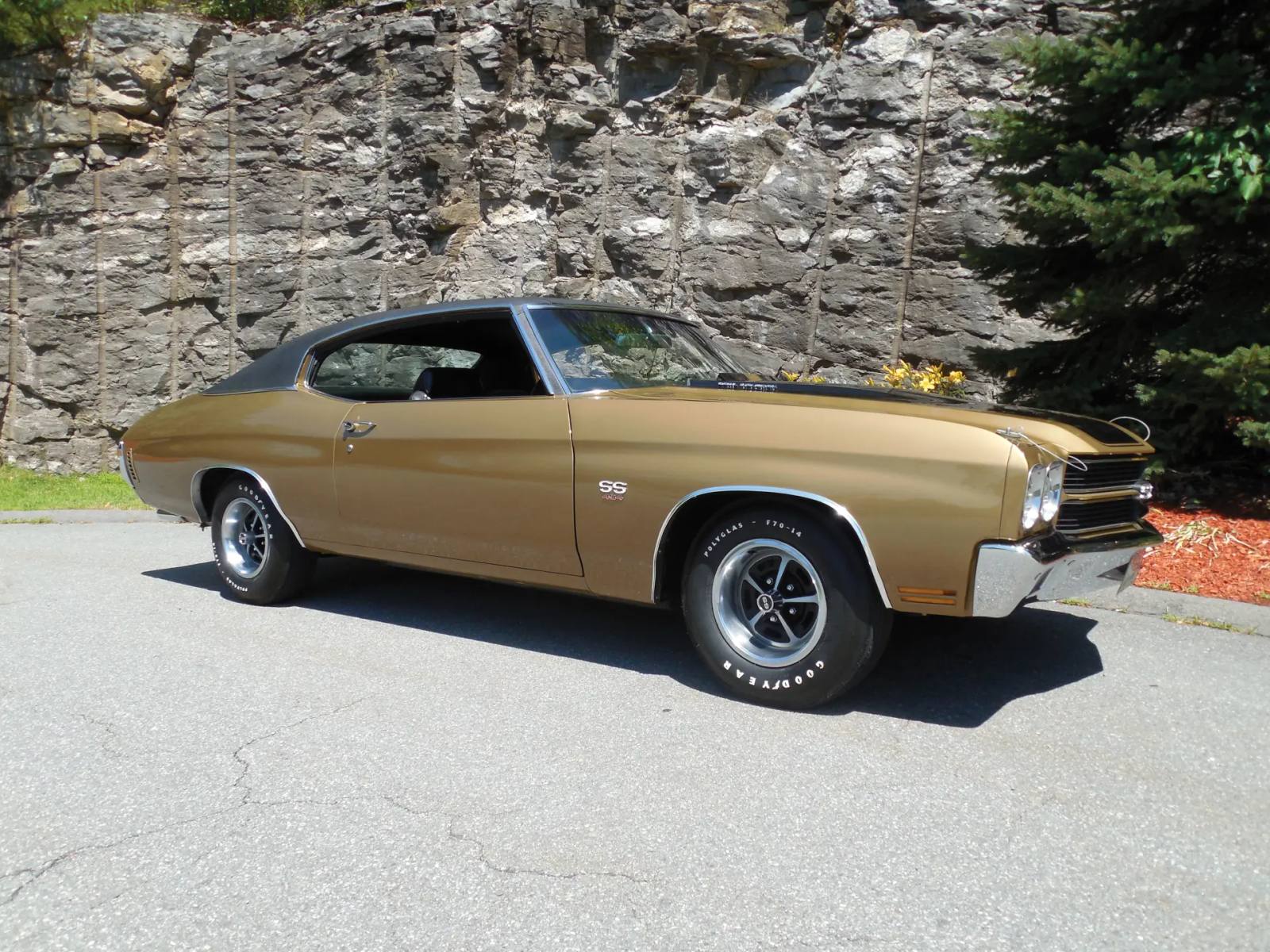 Chevelle Malibu 283