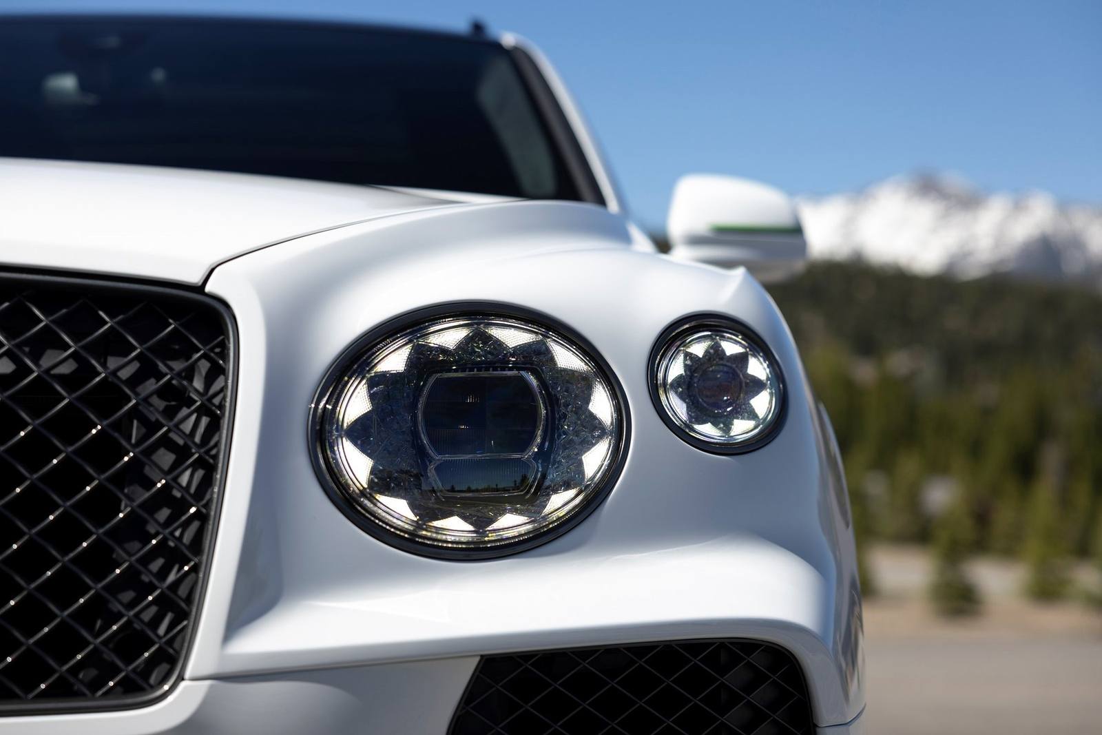 Speed (2025 V8)