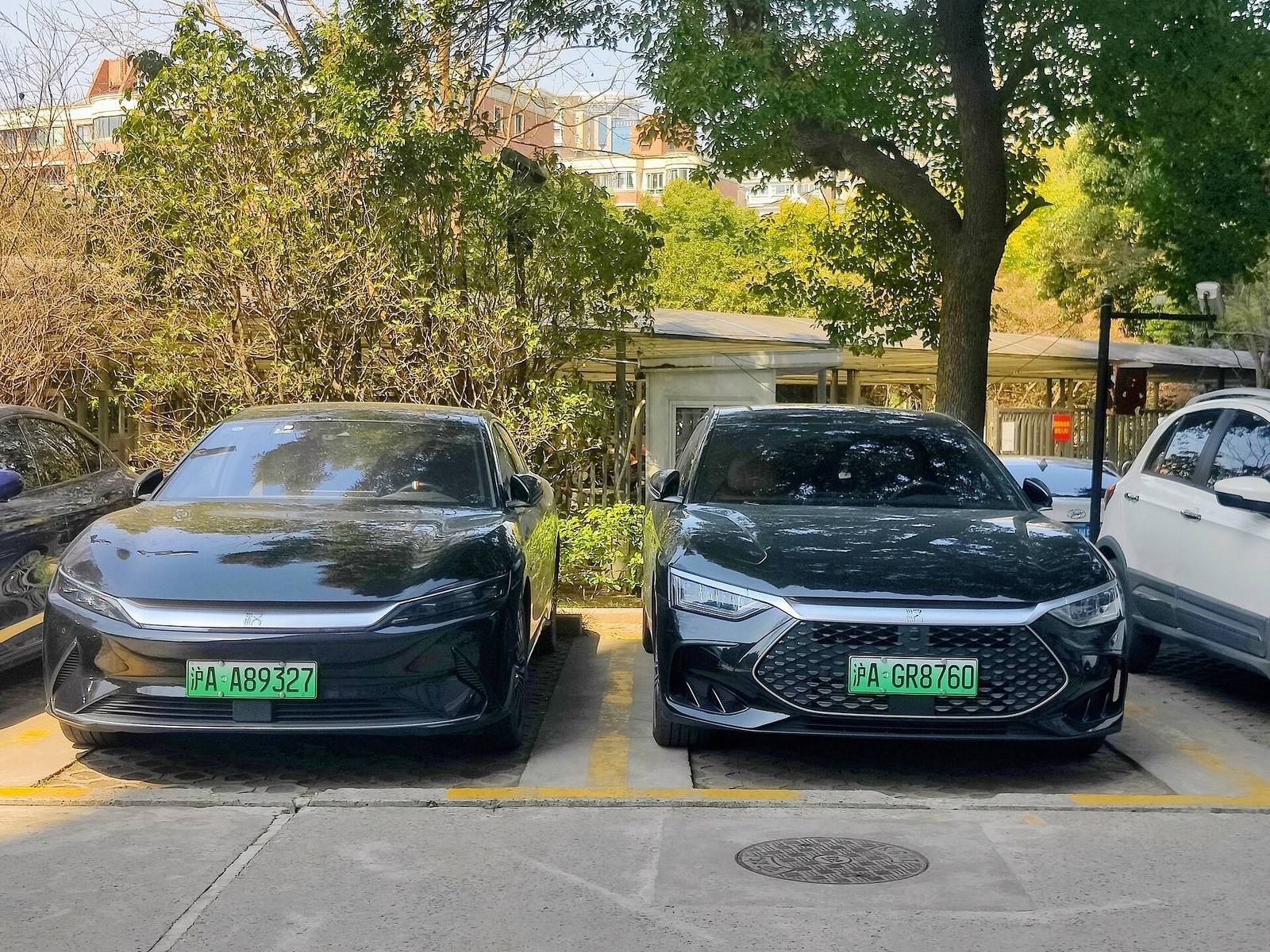 Han EV AWD