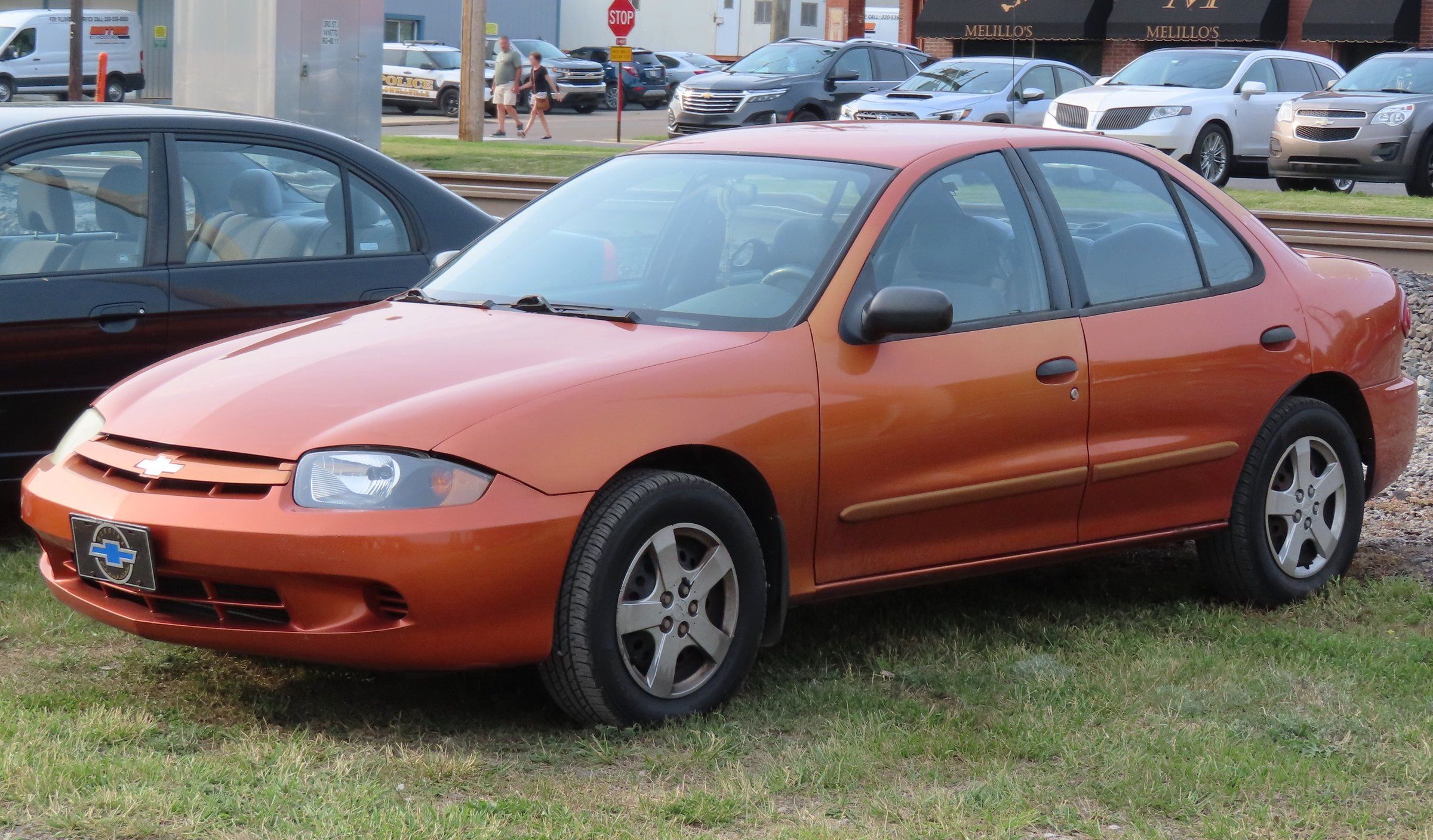 Cavalier