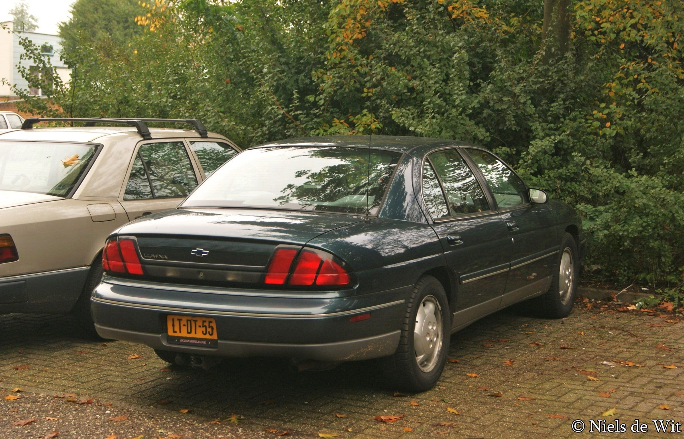 Lumina