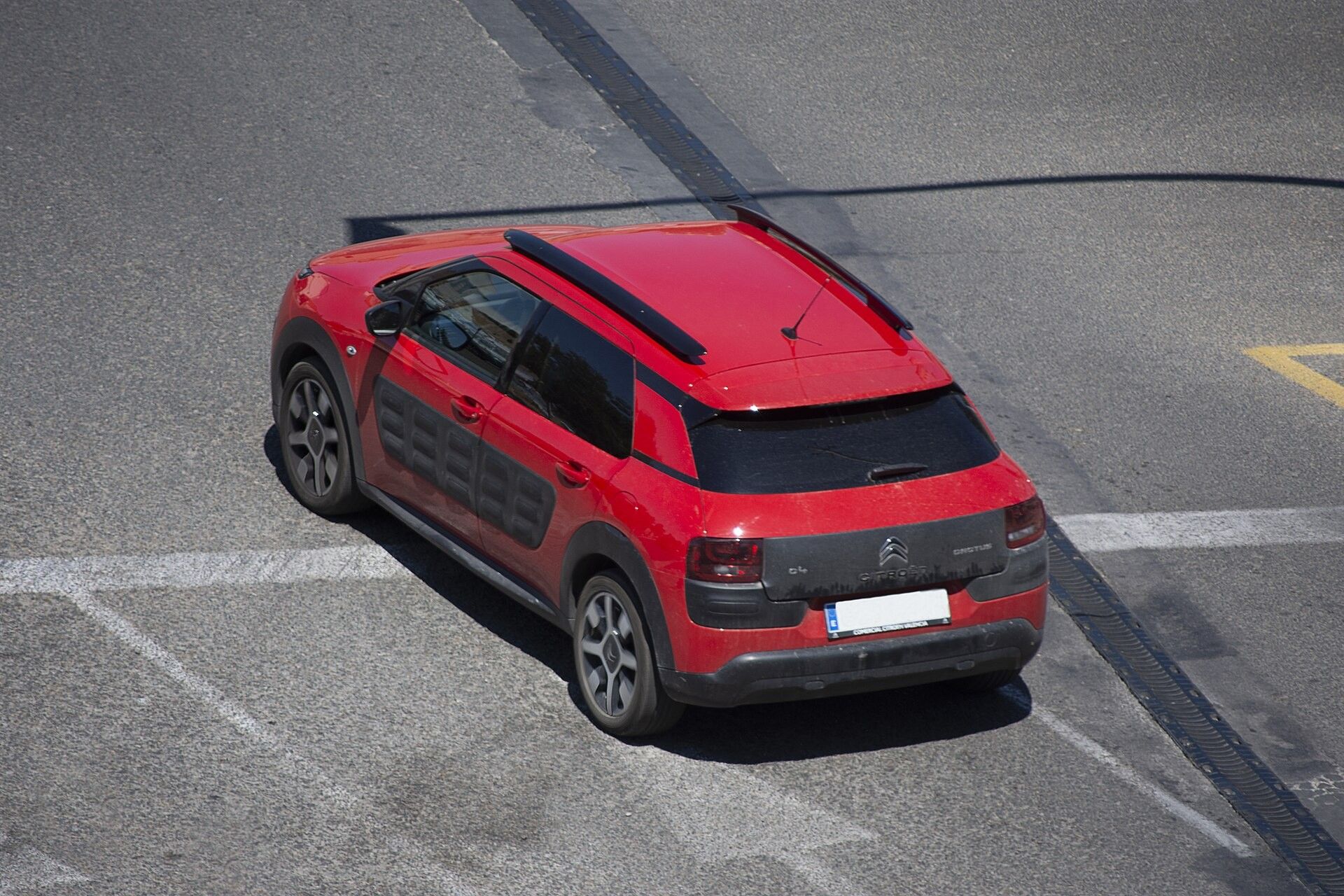 C4 Cactus