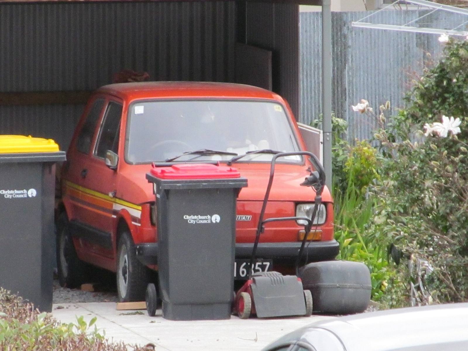 126 BIS