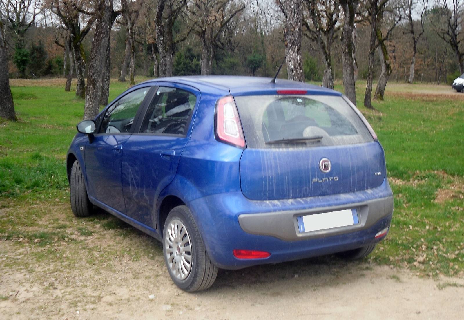 Punto Evo 1.3 MultiJet