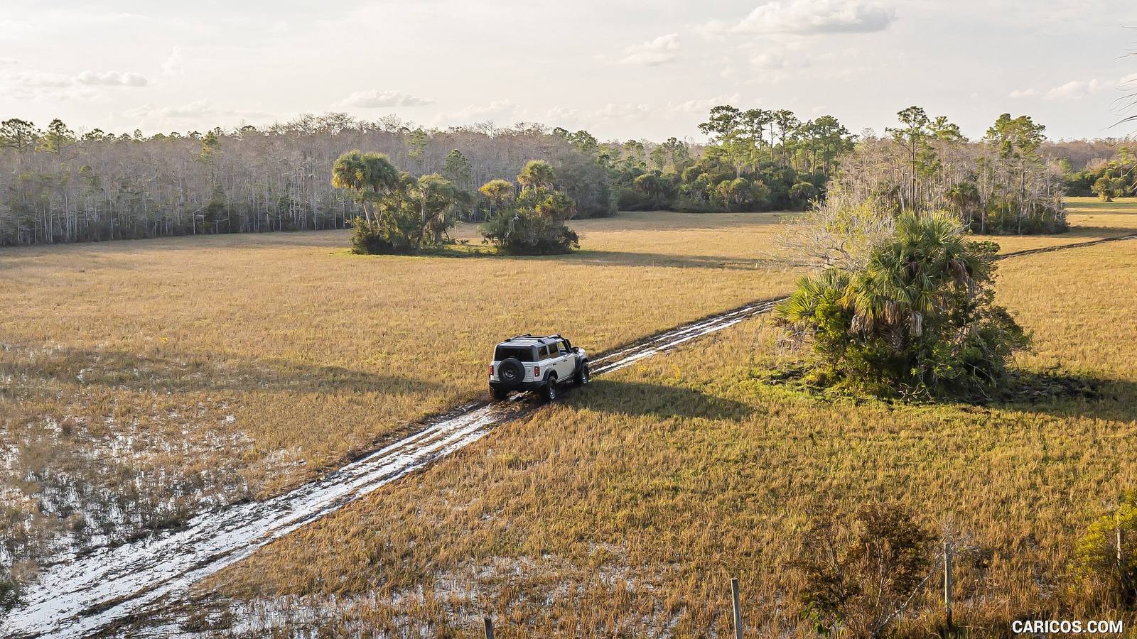 Everglades (2021)