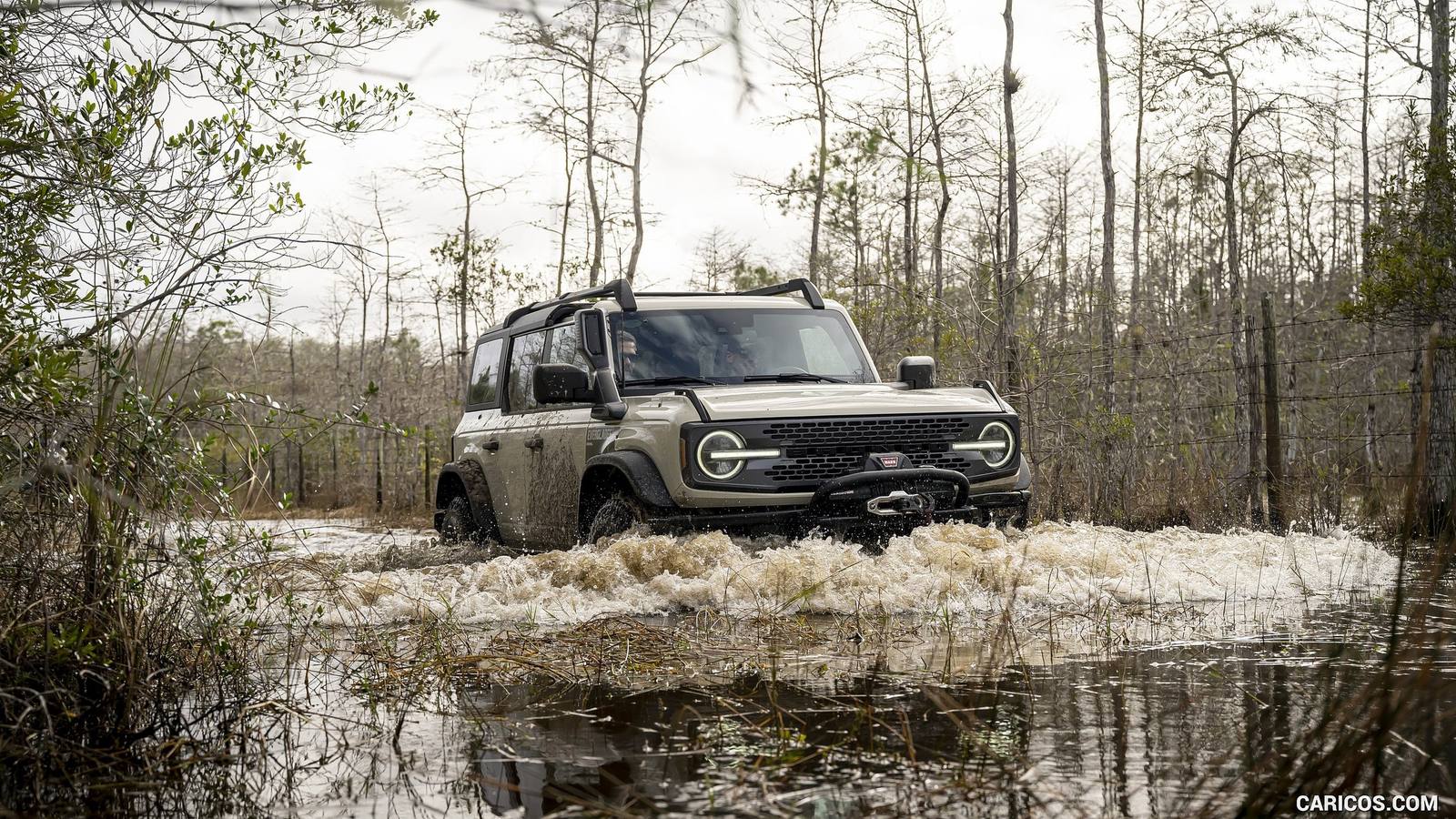 Everglades (2021)