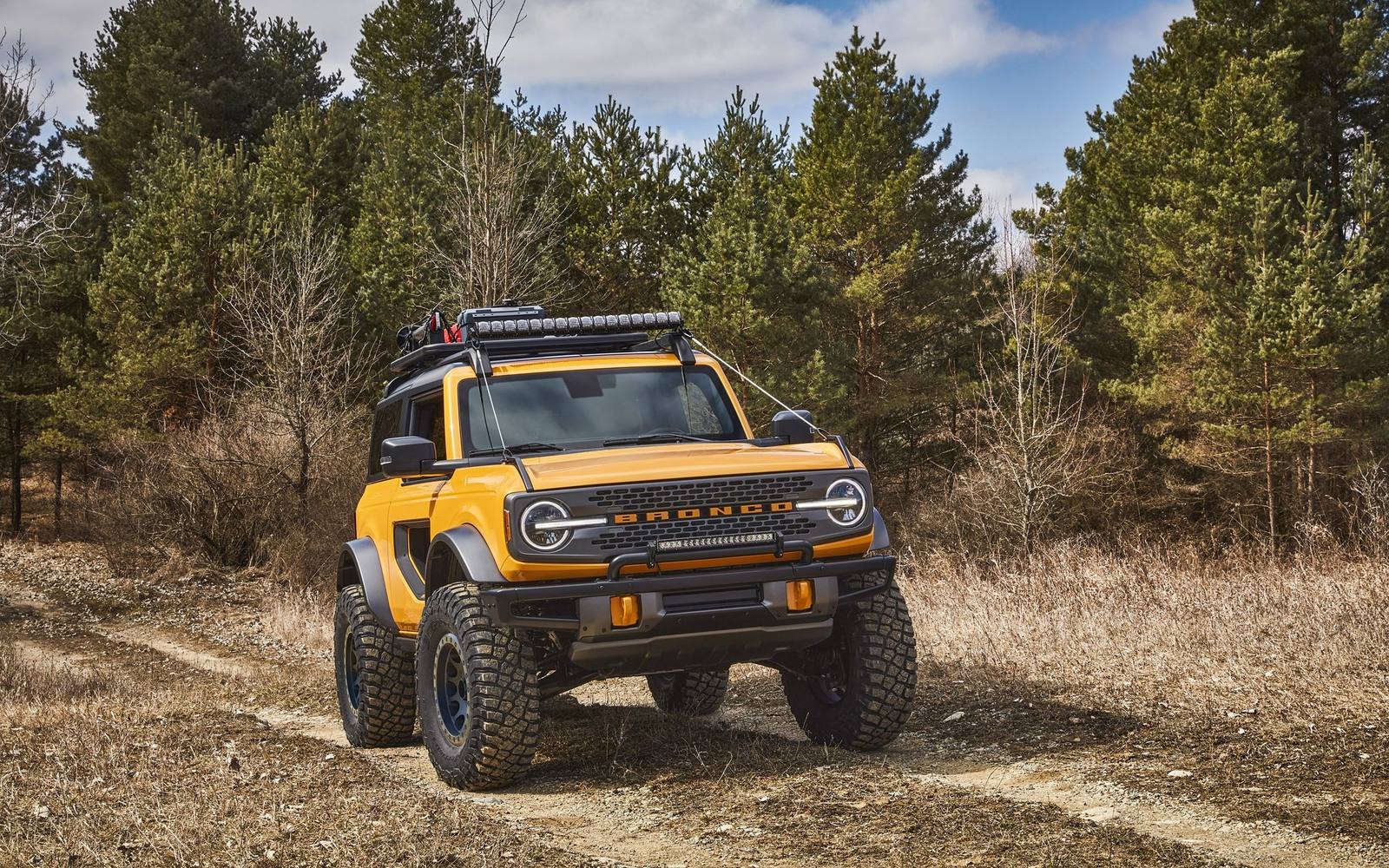 5.0 EFI XLT (4th gen)
