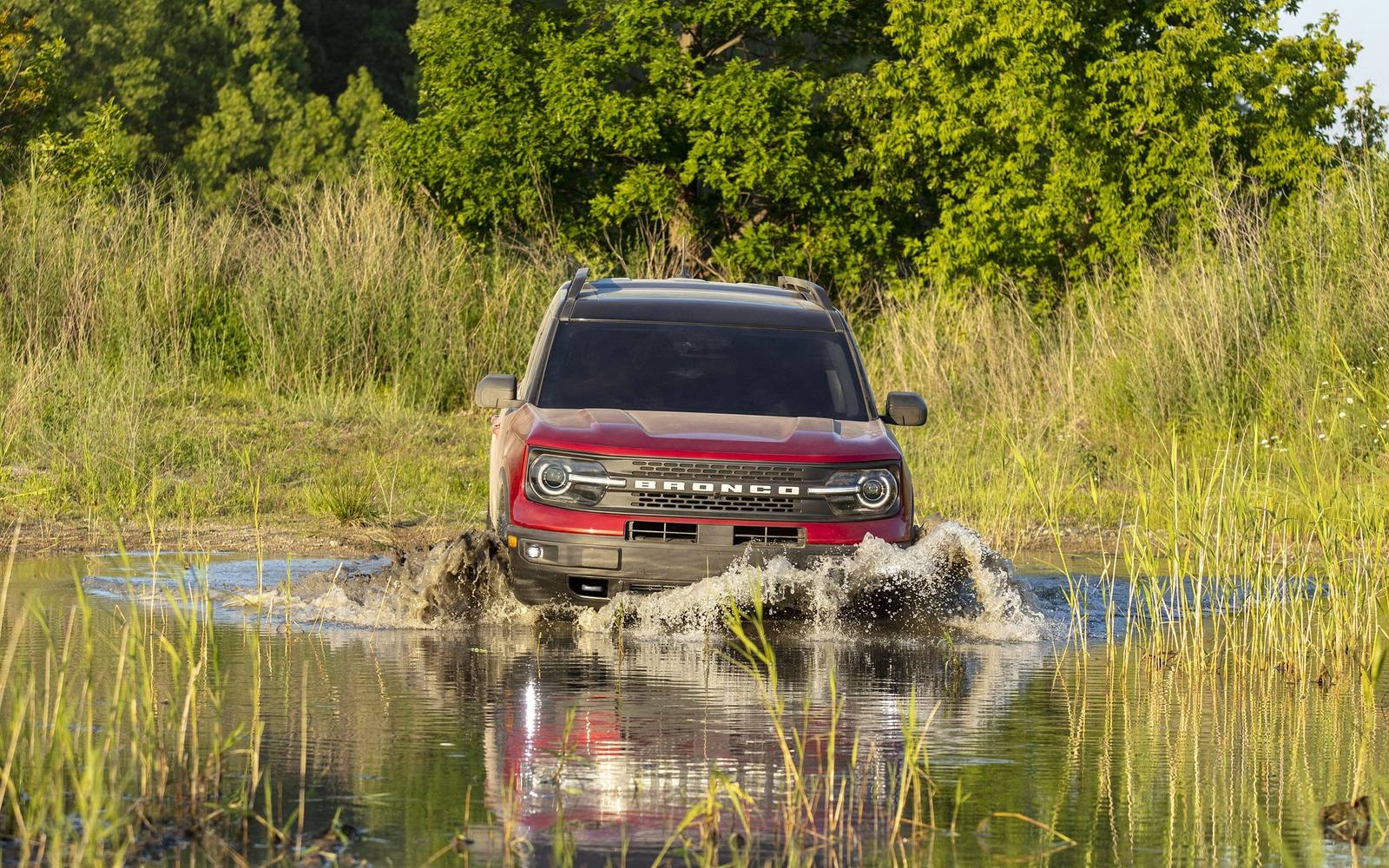 5.0 EFI XLT (4th gen)
