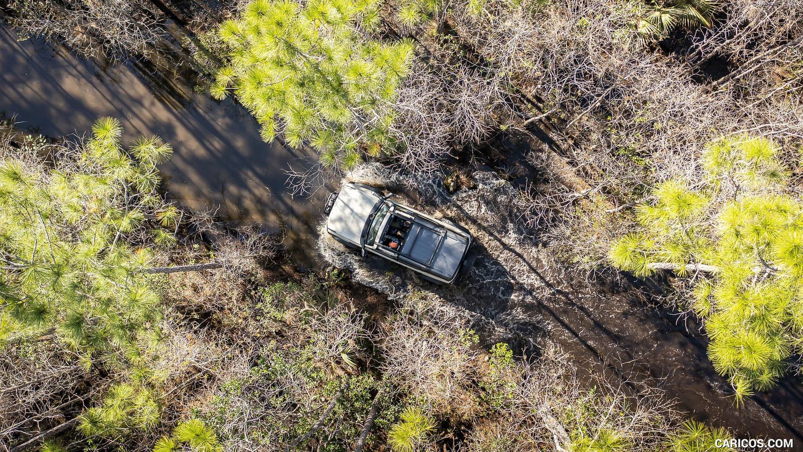 Everglades (2021)