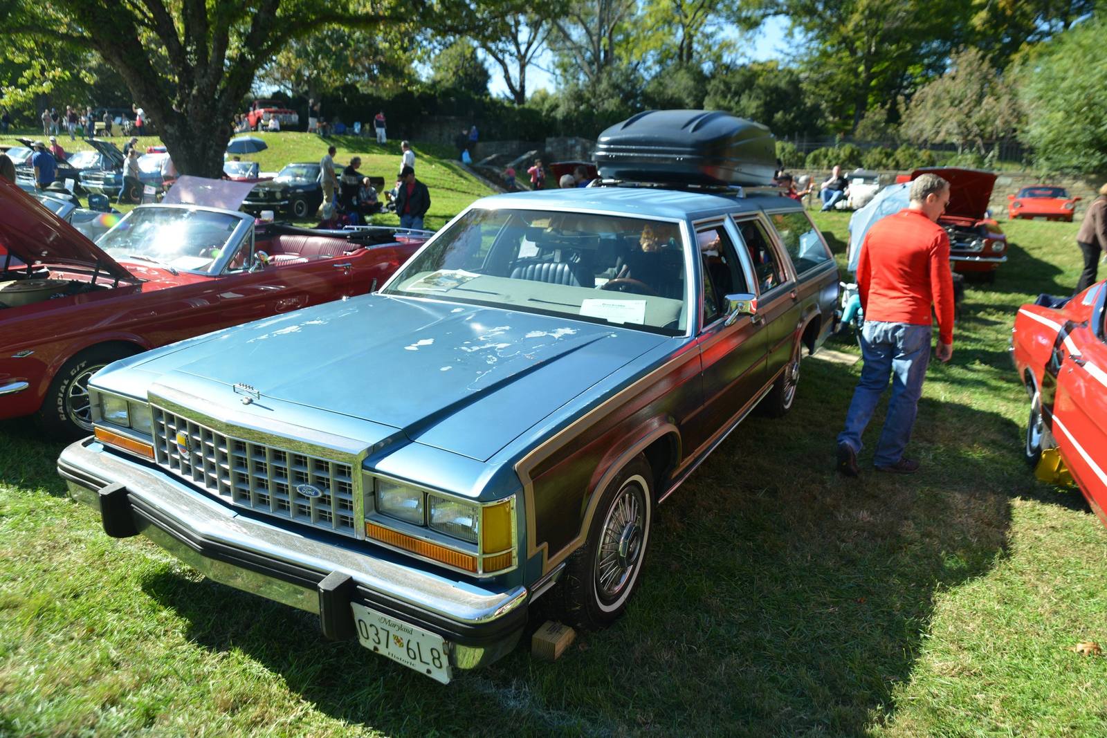 Country Squire (Panther)