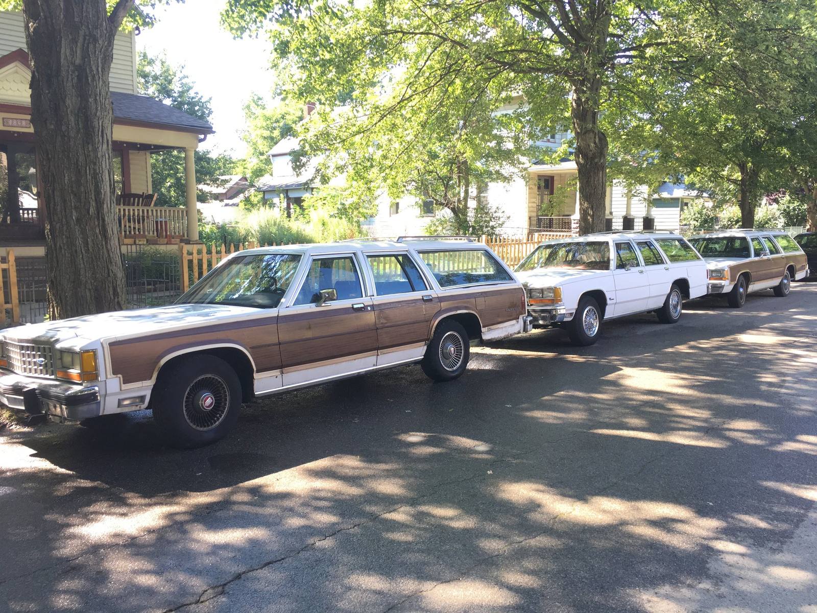 Country Squire (Panther)