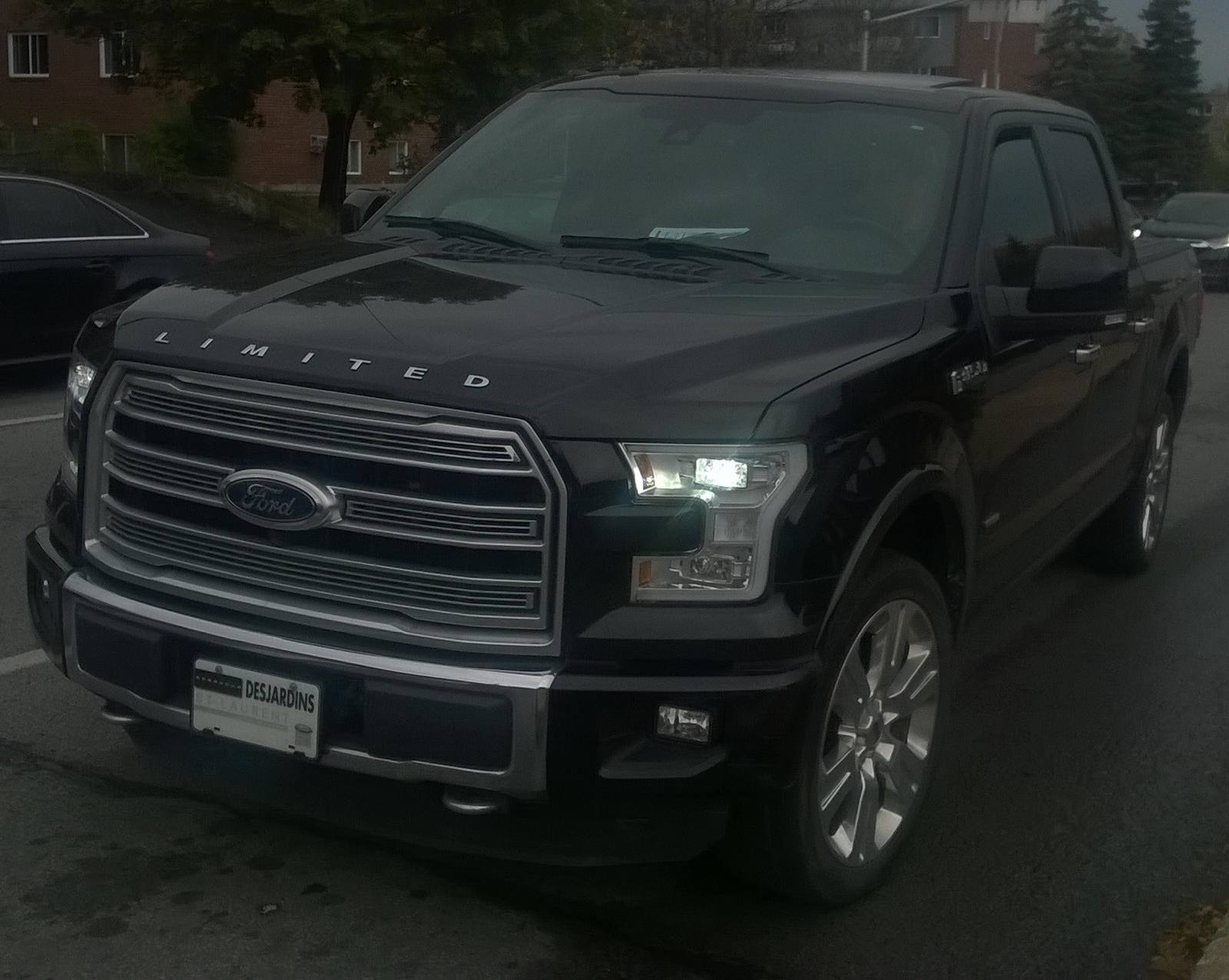 Limited (2015)