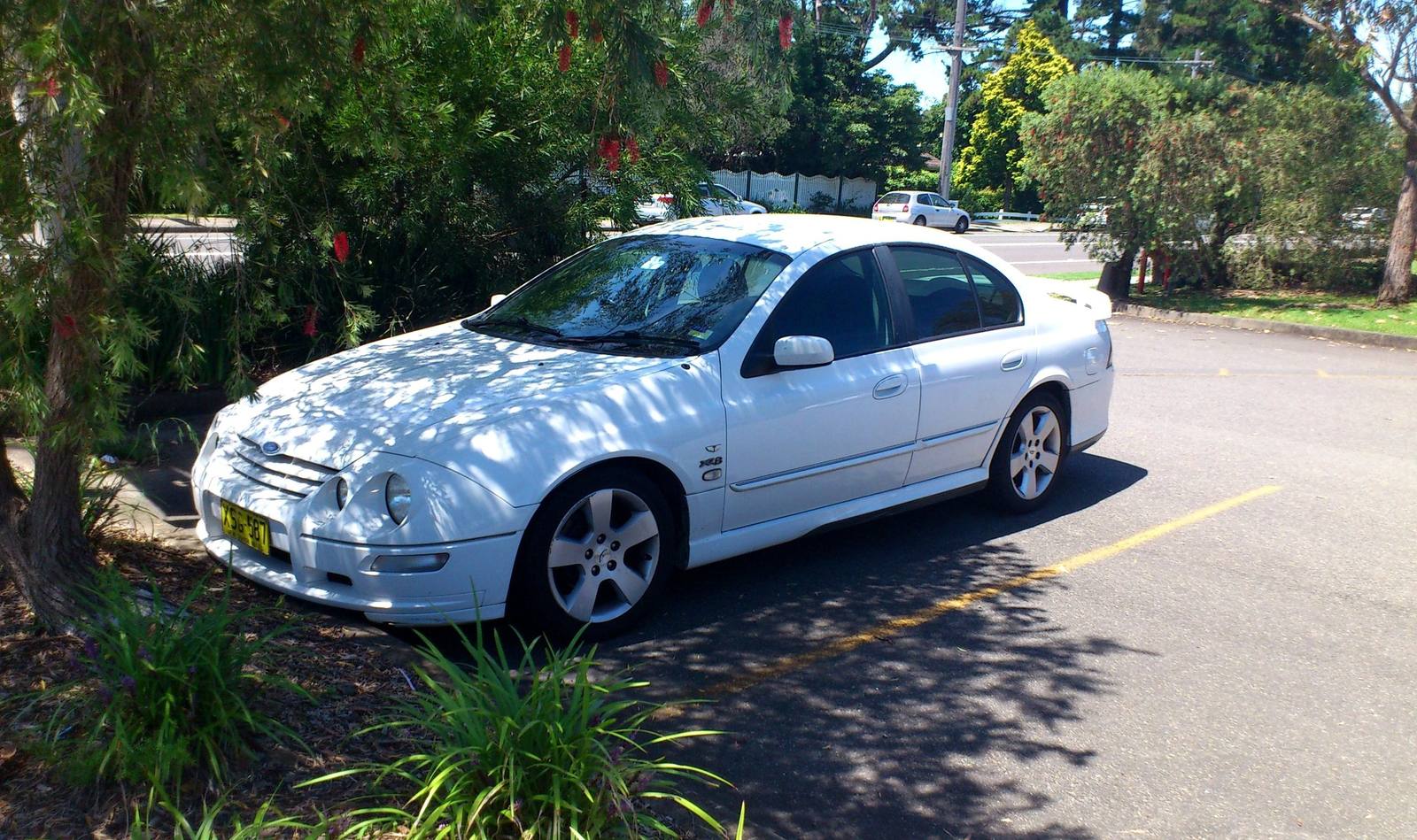 XR8 (AU)