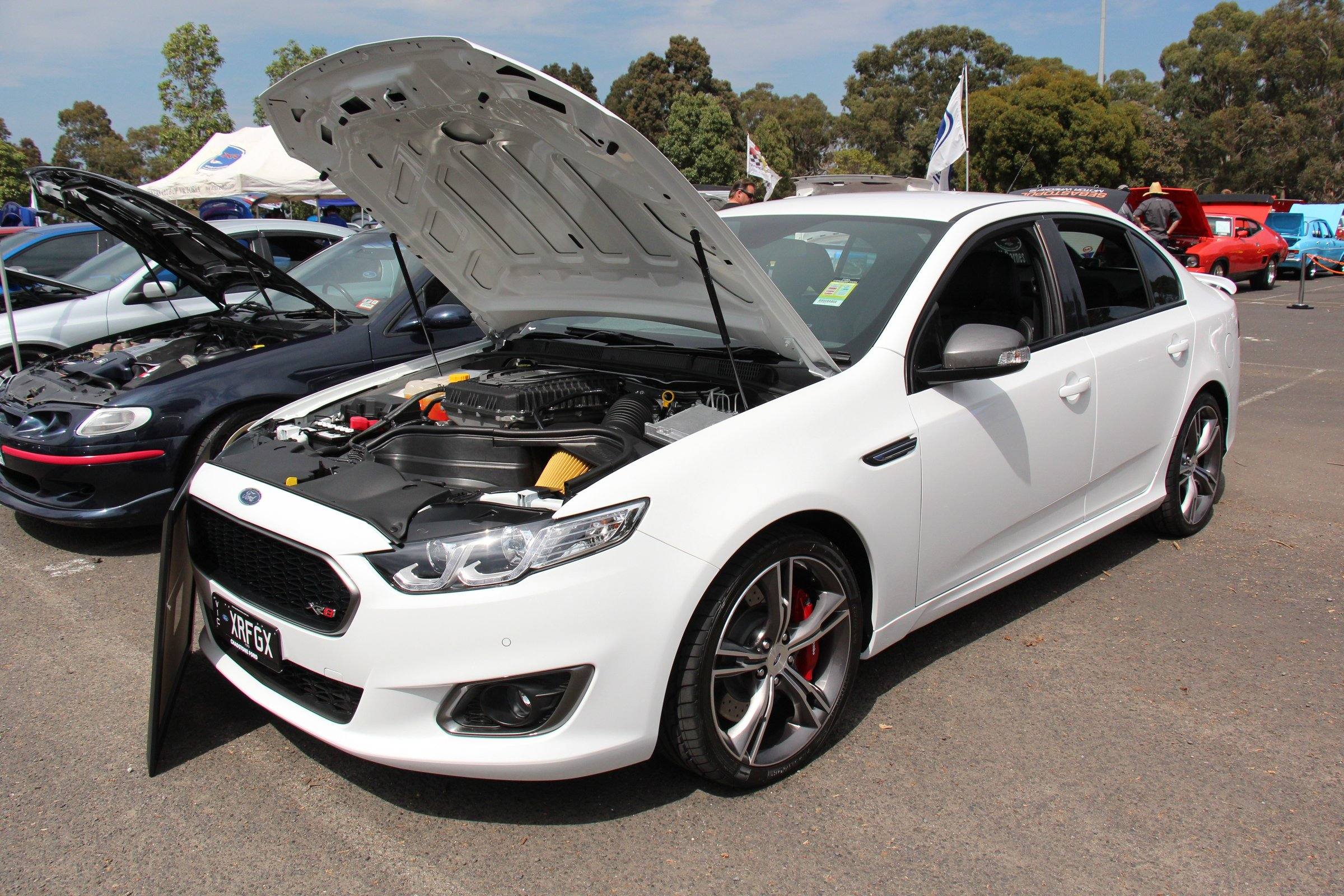 XR8 (FG X)