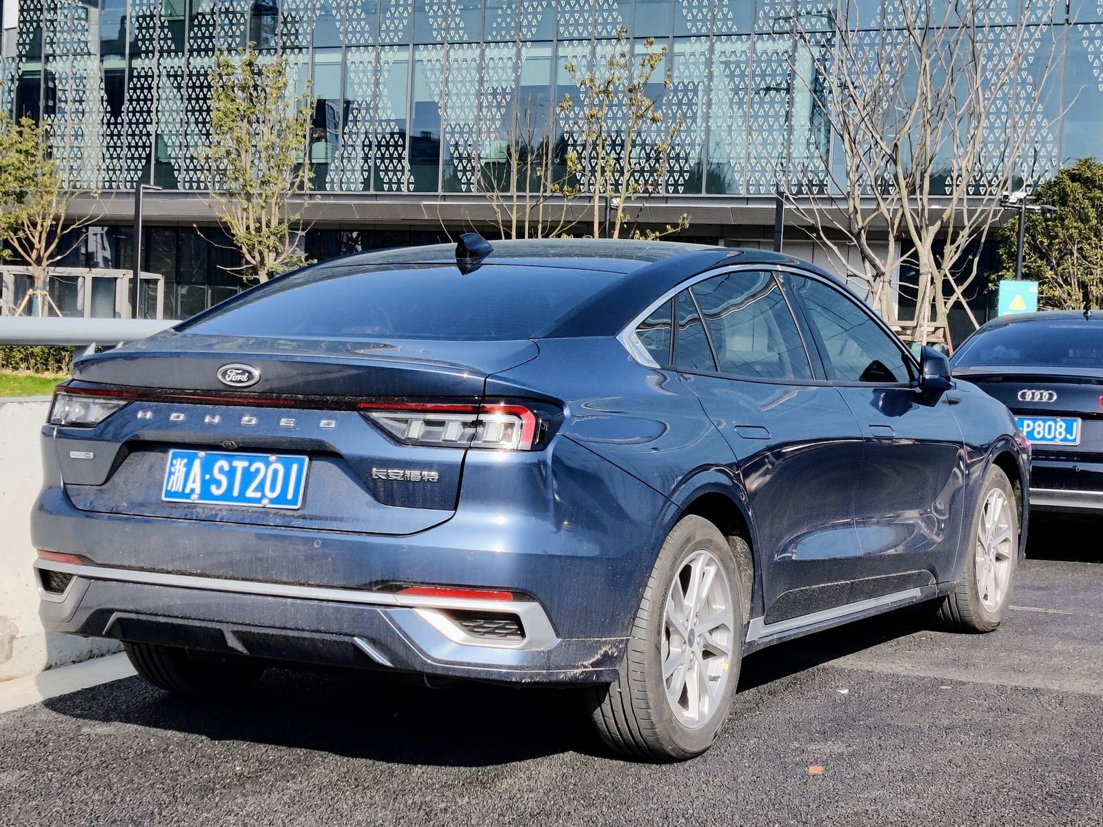 2.0 EcoBoost (Mk5)