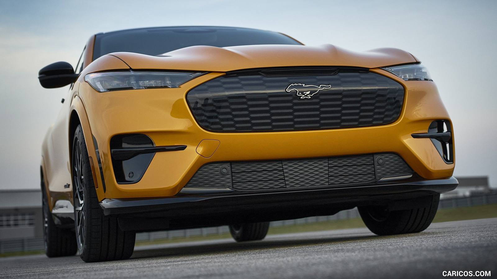 GT