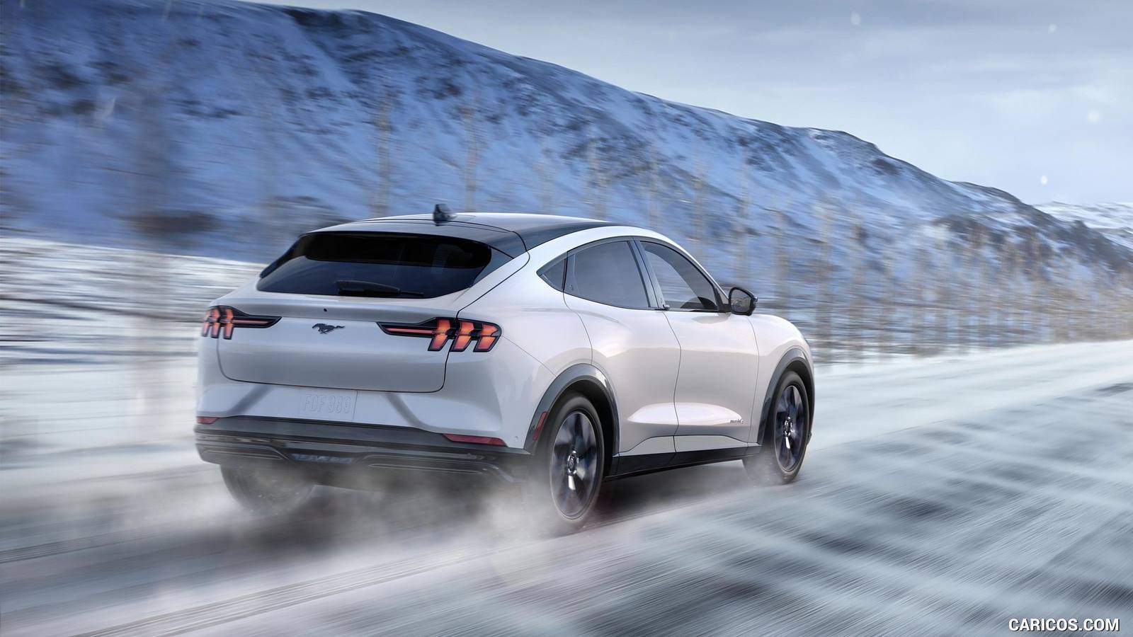 Premium Extended Range AWD