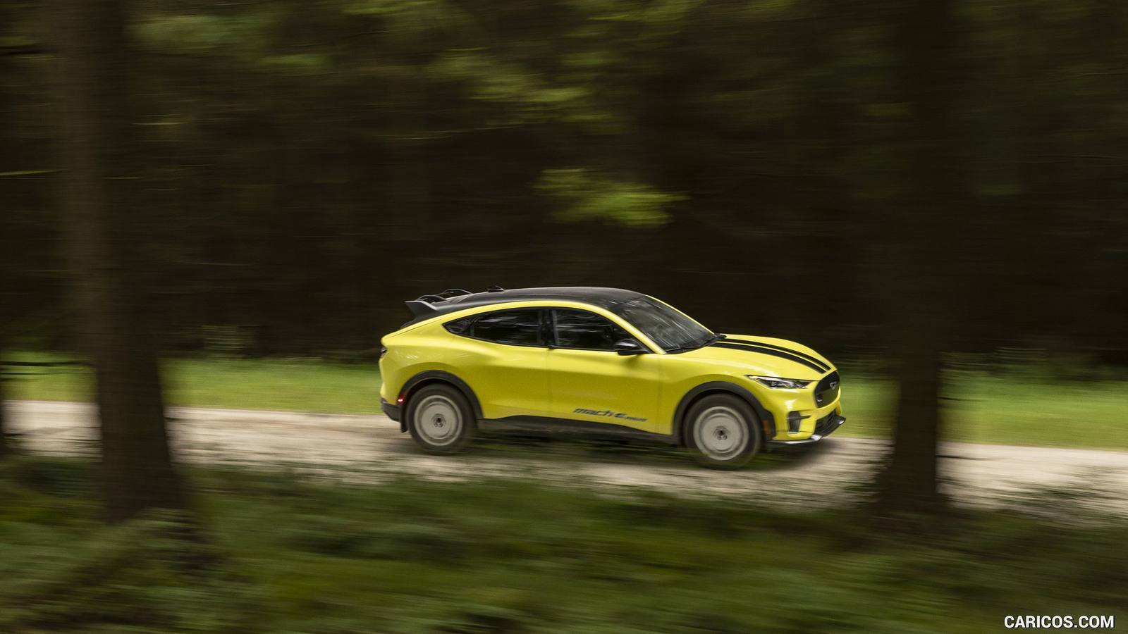 Rally