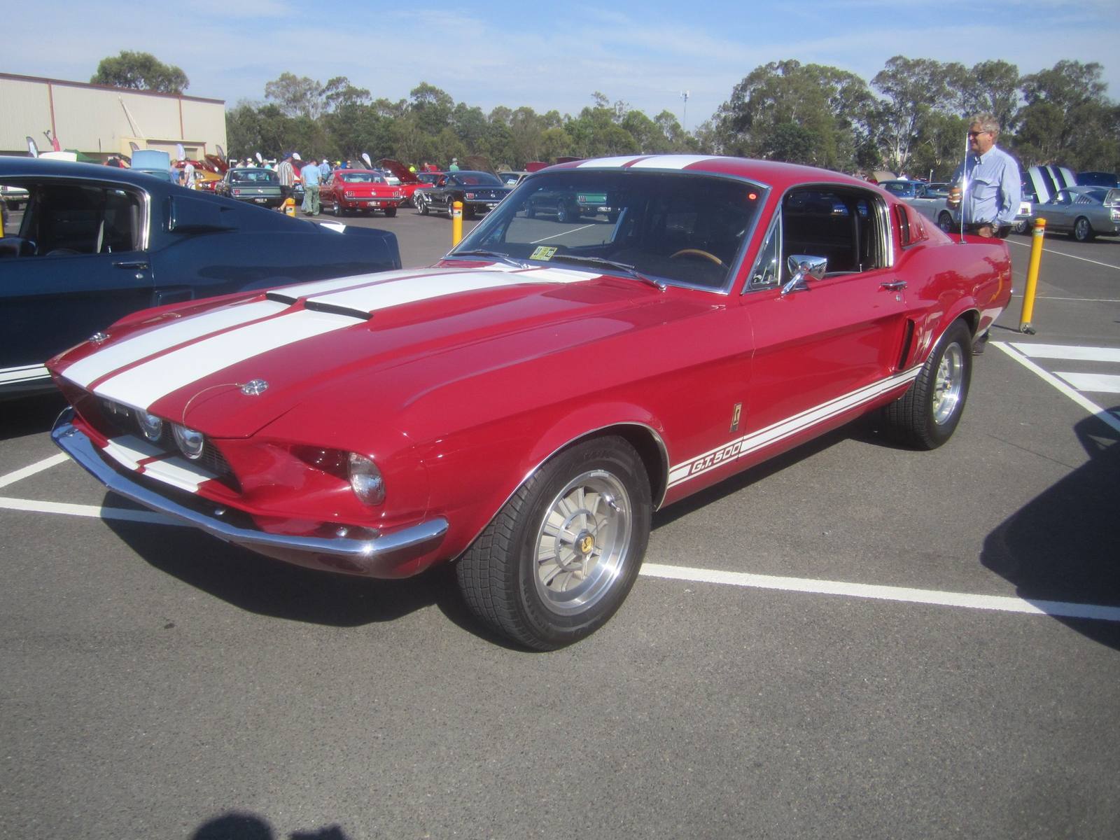 GT500 (1967) (1967)