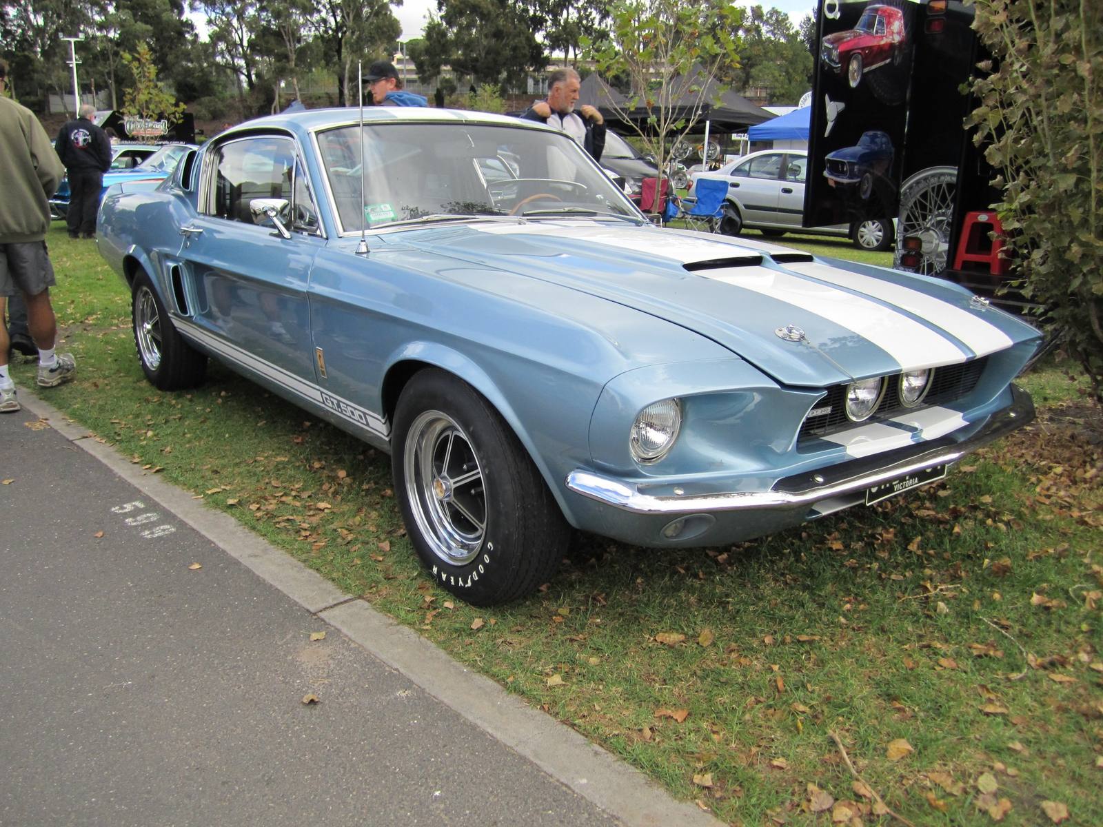 GT500 (1967) (1967)