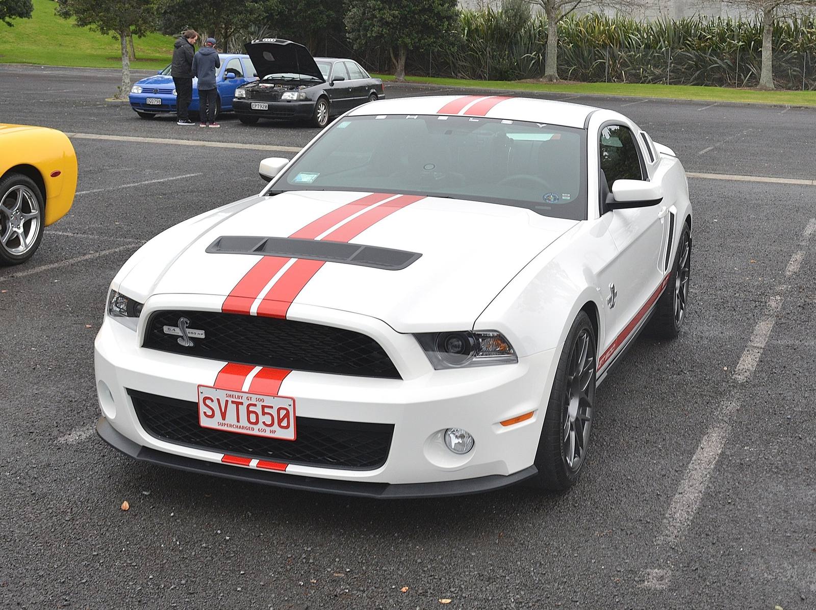 GT500 (S197, 2010-12) (2010)
