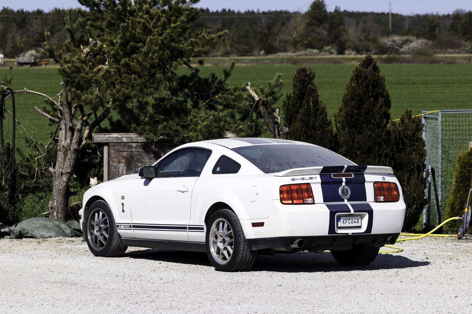 GT500 (S197, 2007-09) (2007)