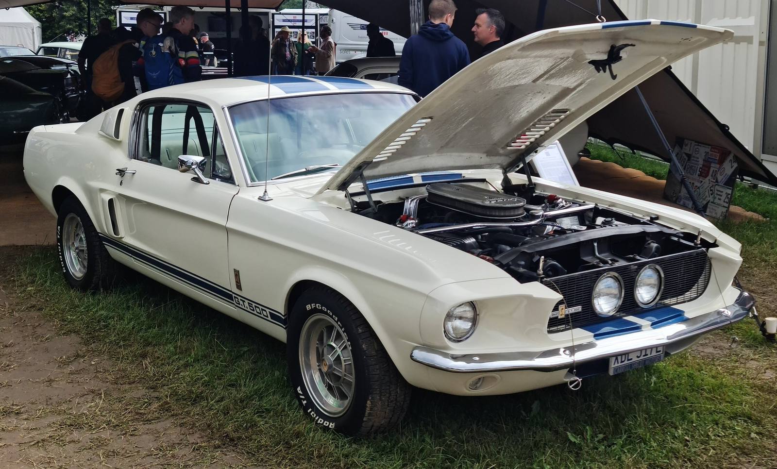 GT500 (1967) (1967)