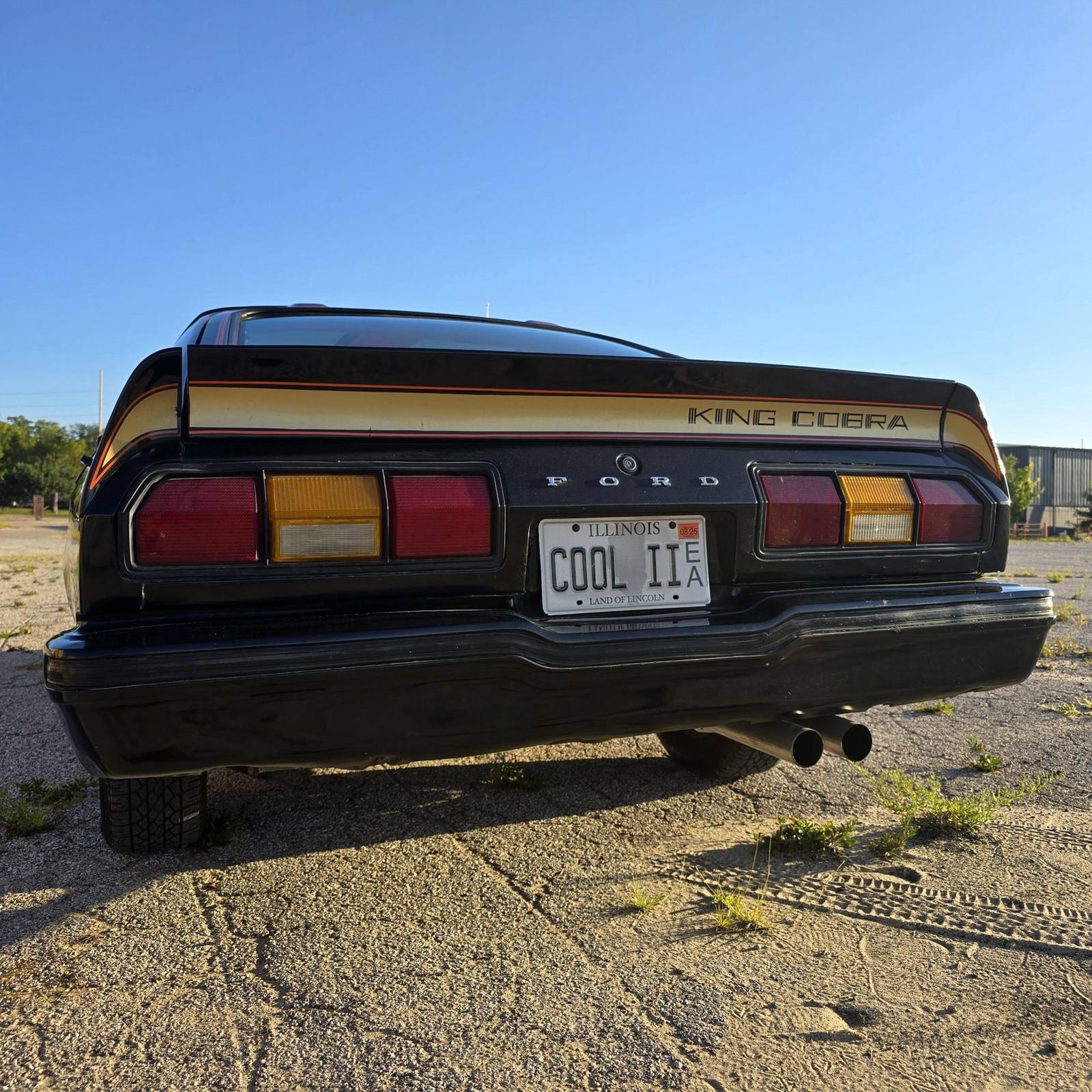 King Cobra (Mustang II)