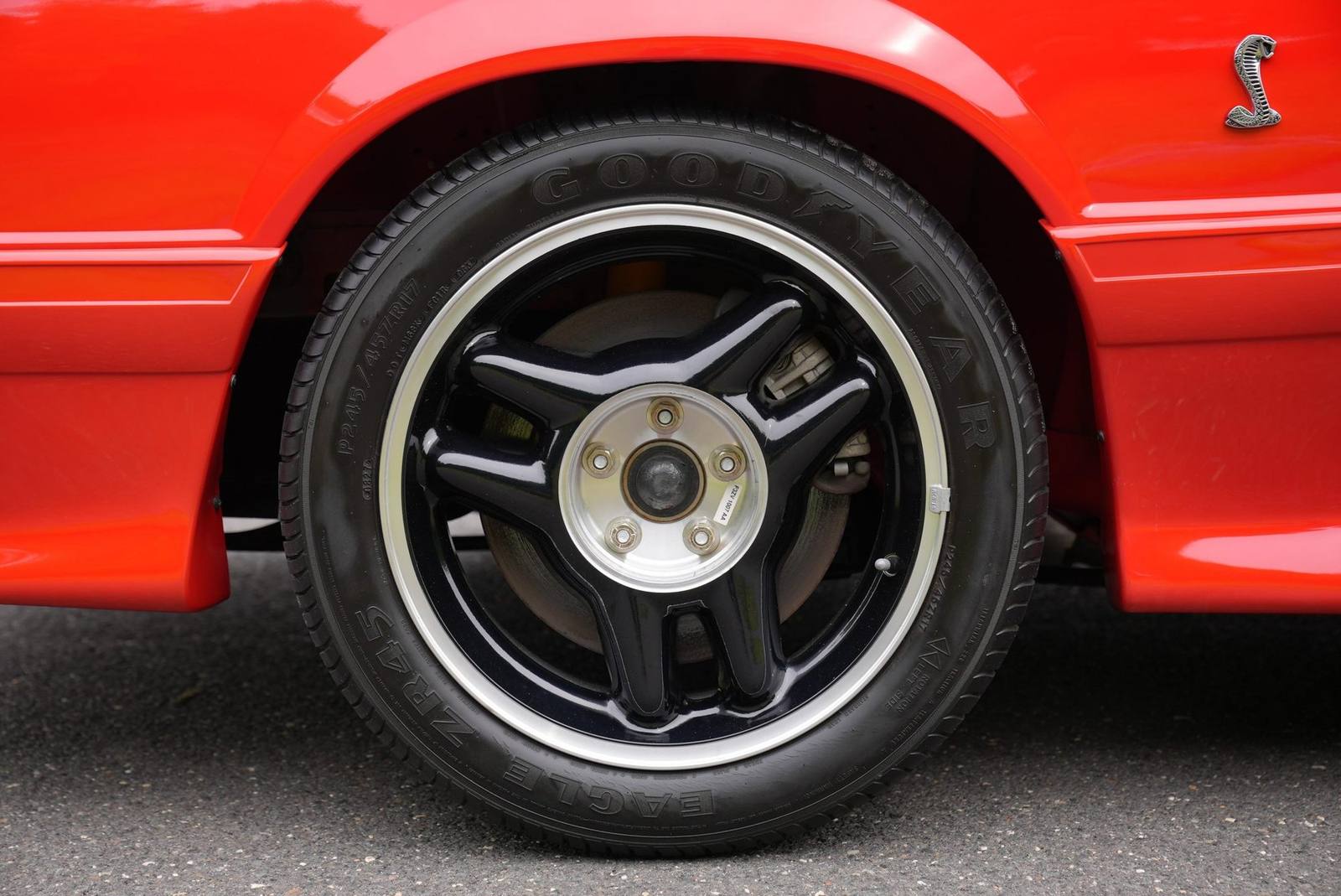 SVT Cobra R (Fox)