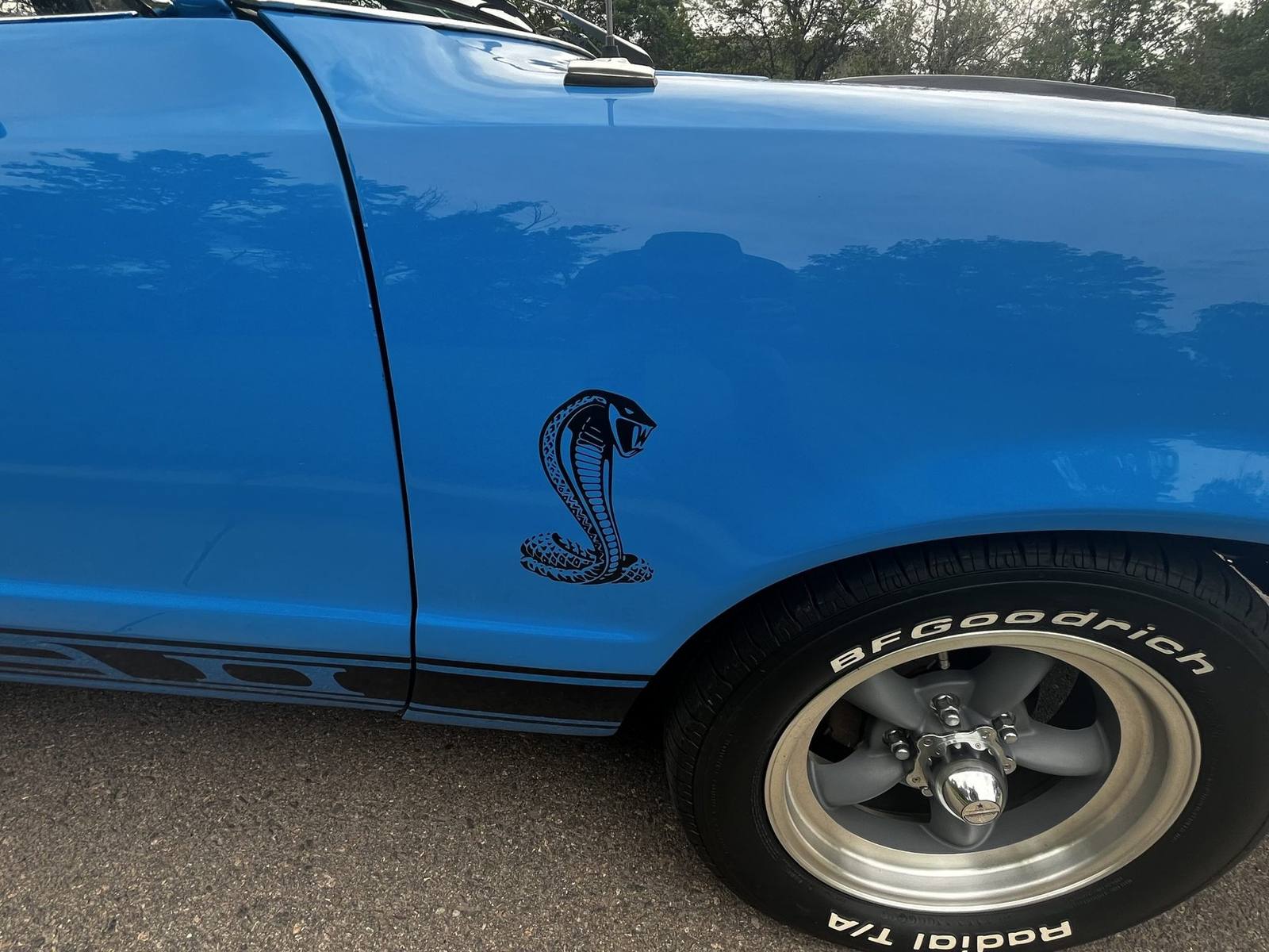 Cobra II (Mustang II)