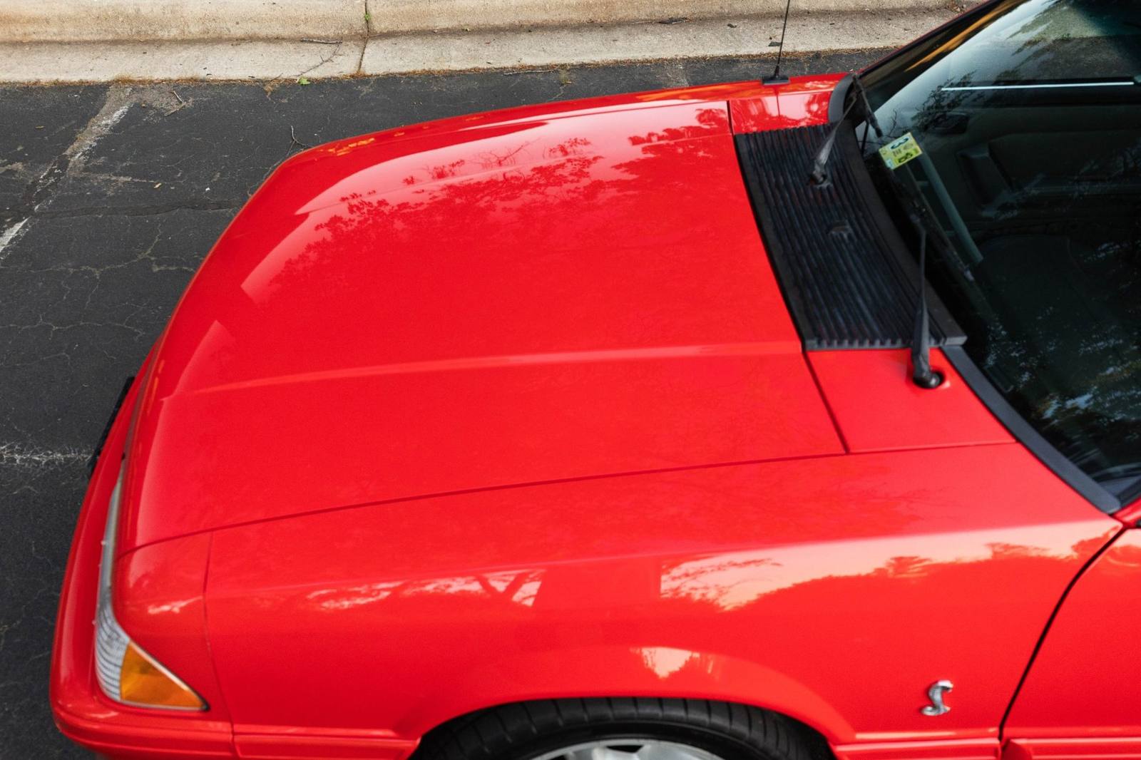 SVT Cobra (Fox)