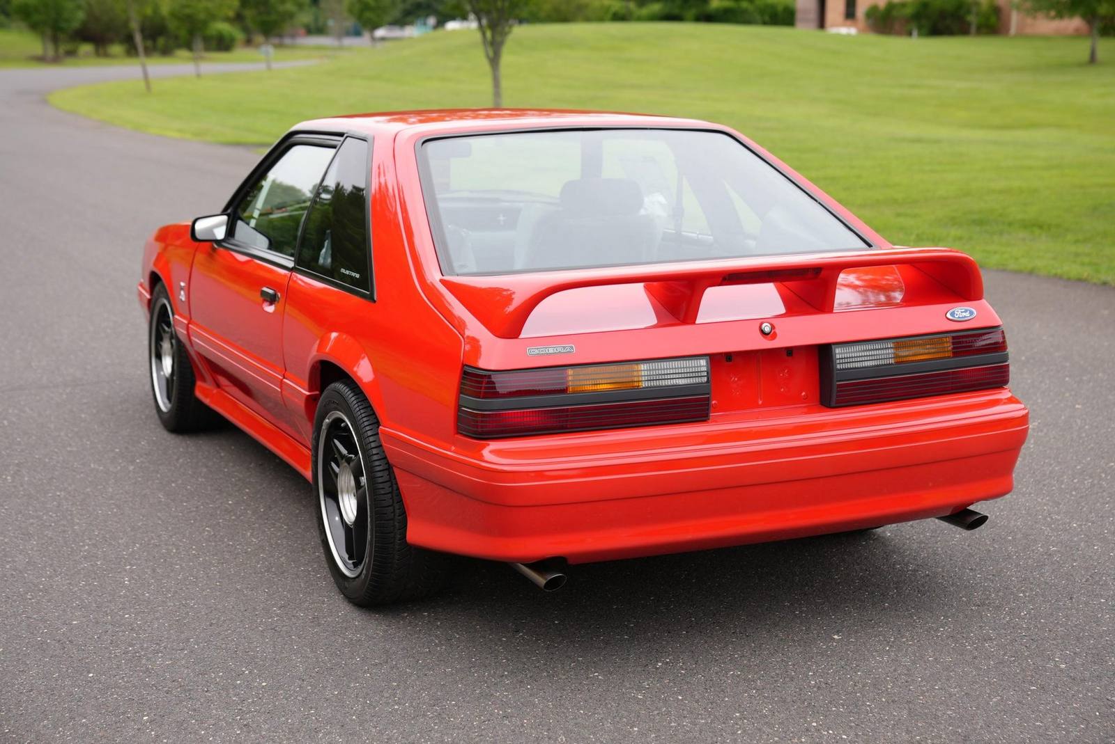 SVT Cobra R (Fox)