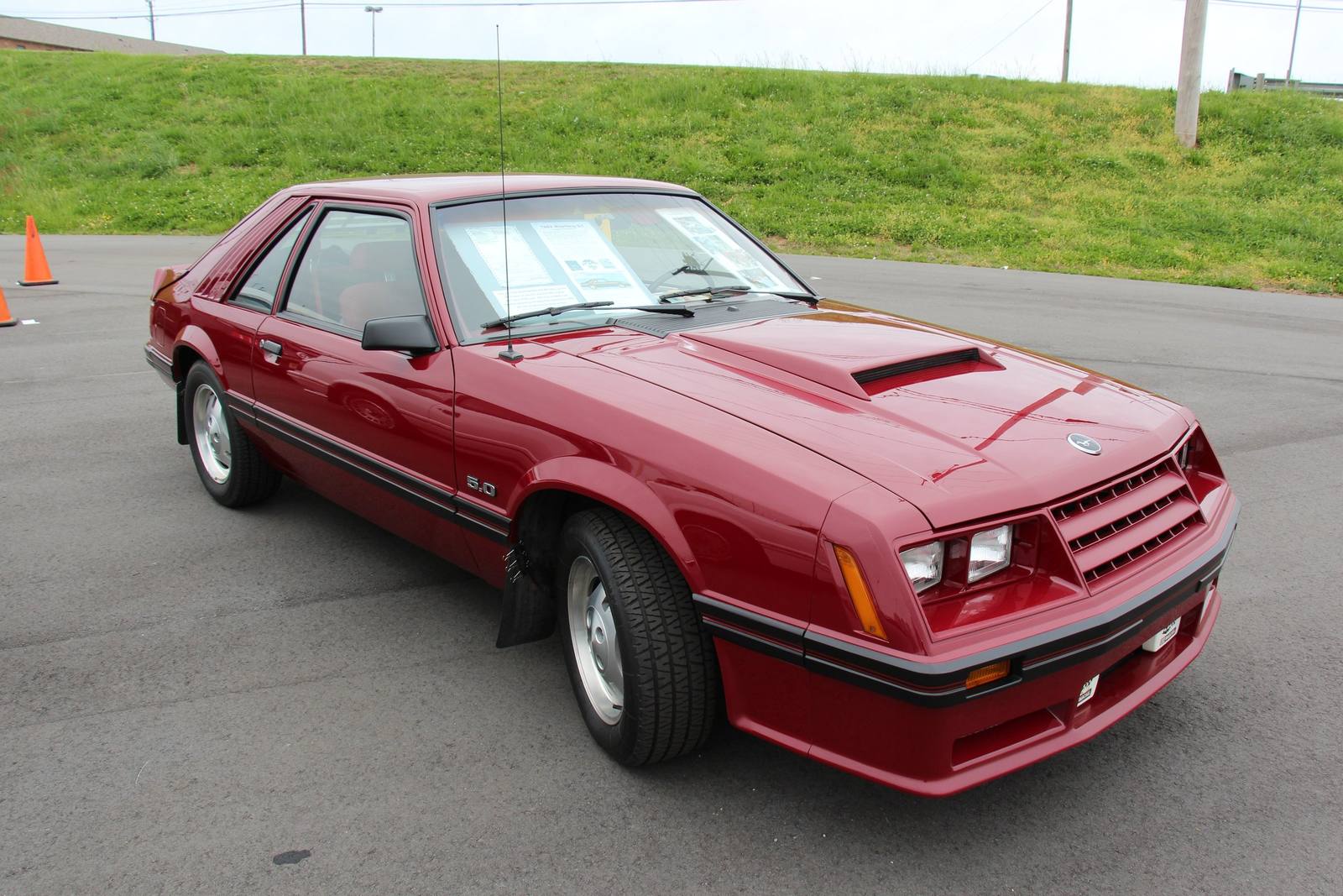 GT (Fox)