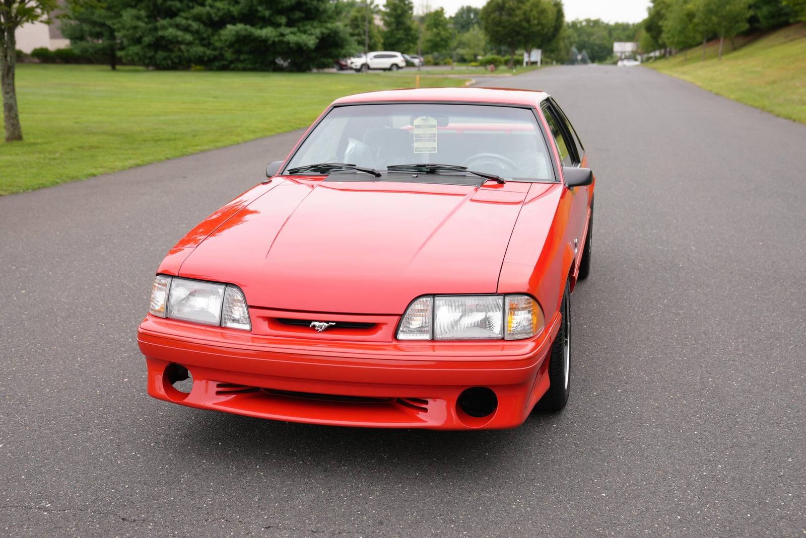 SVT Cobra R (Fox)