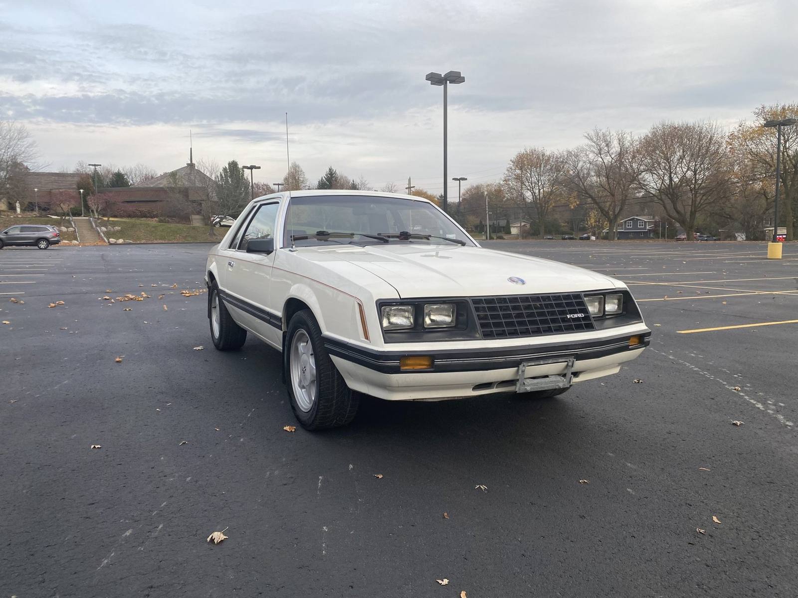 L/LX (Fox)