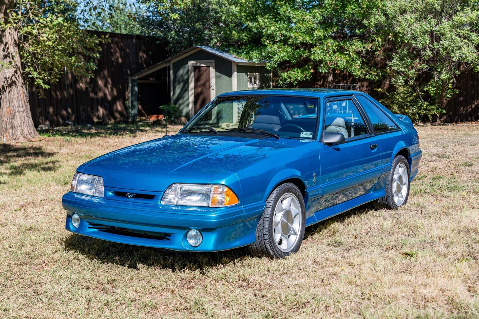 SVT Cobra (Fox)