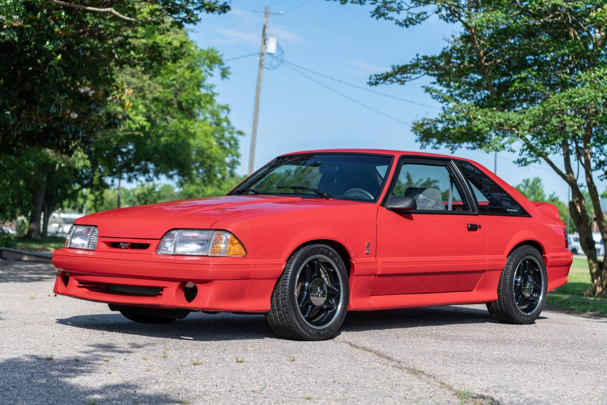 SVT Cobra R (Fox)
