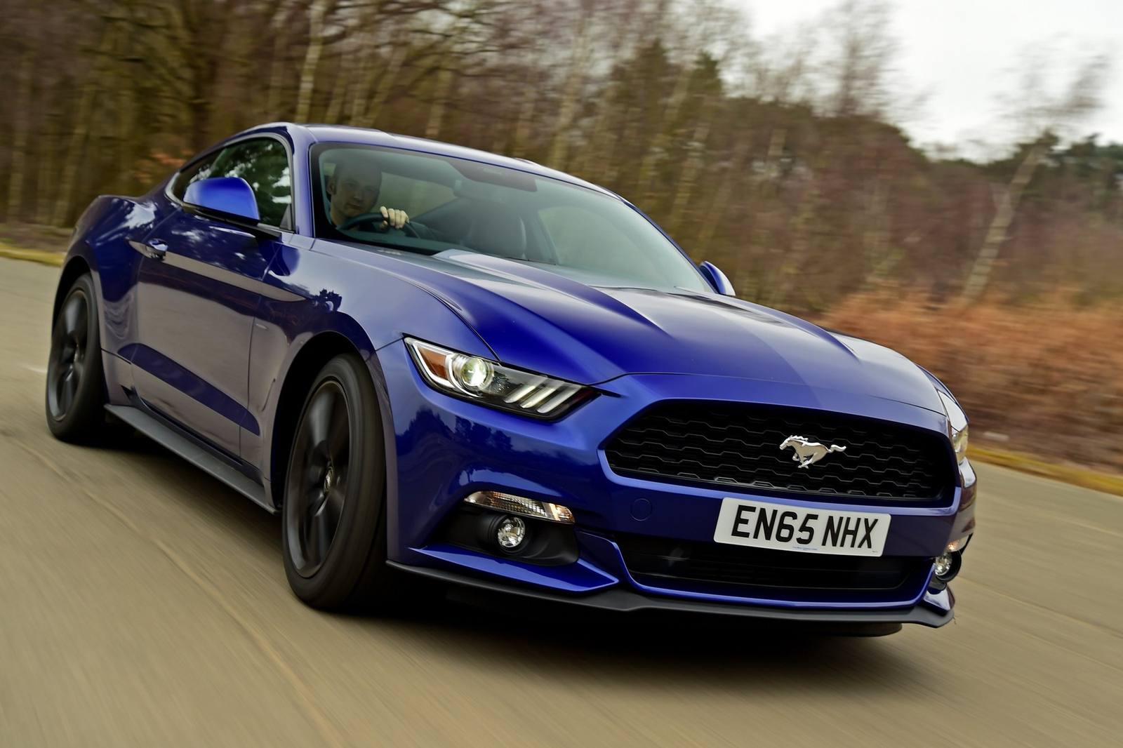 EcoBoost (S550)