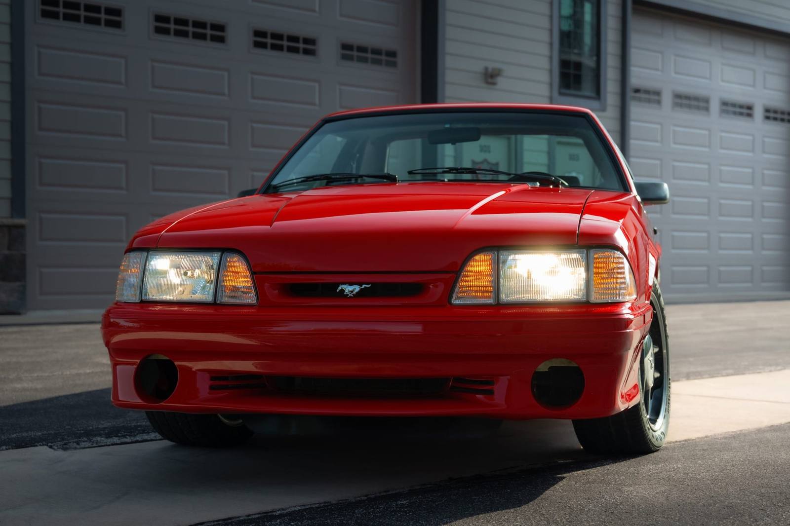 SVT Cobra R (Fox)