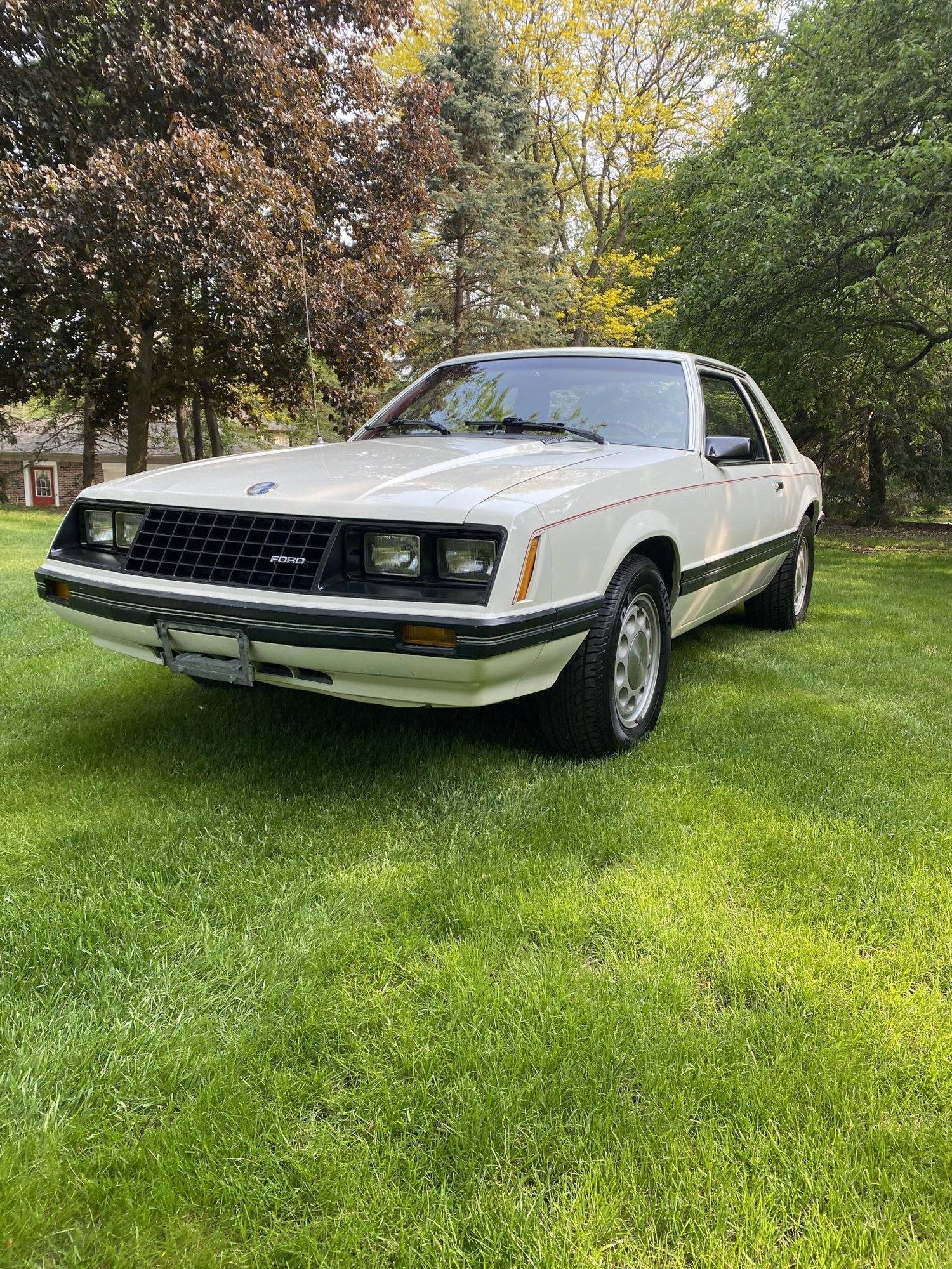 L/LX (Fox)