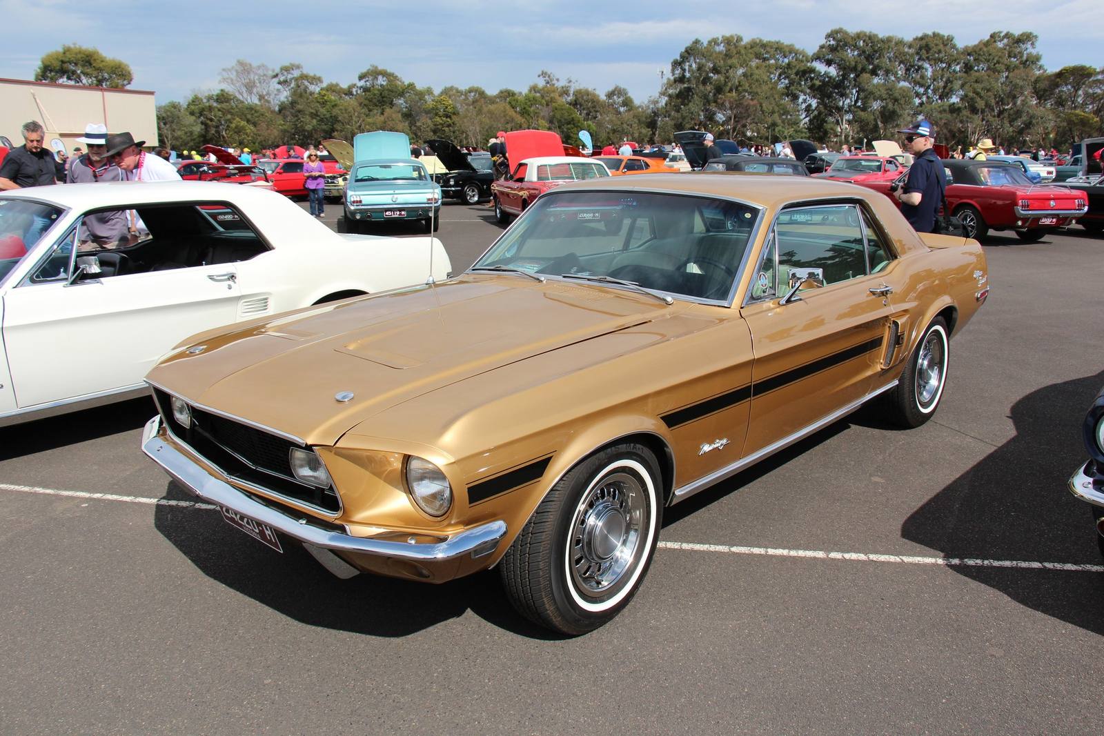 GT/CS California Special (1st gen)