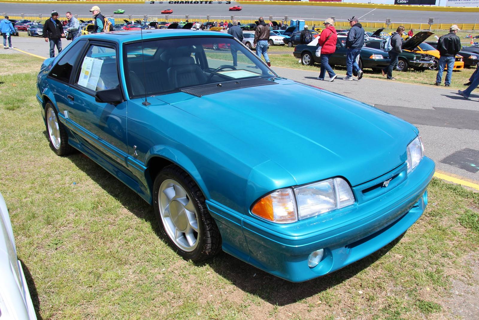 SVT Cobra (Fox)