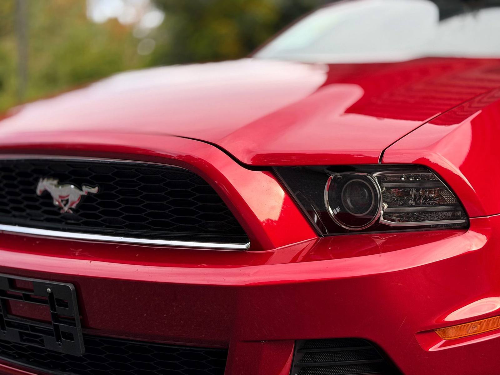 V6 (S197)