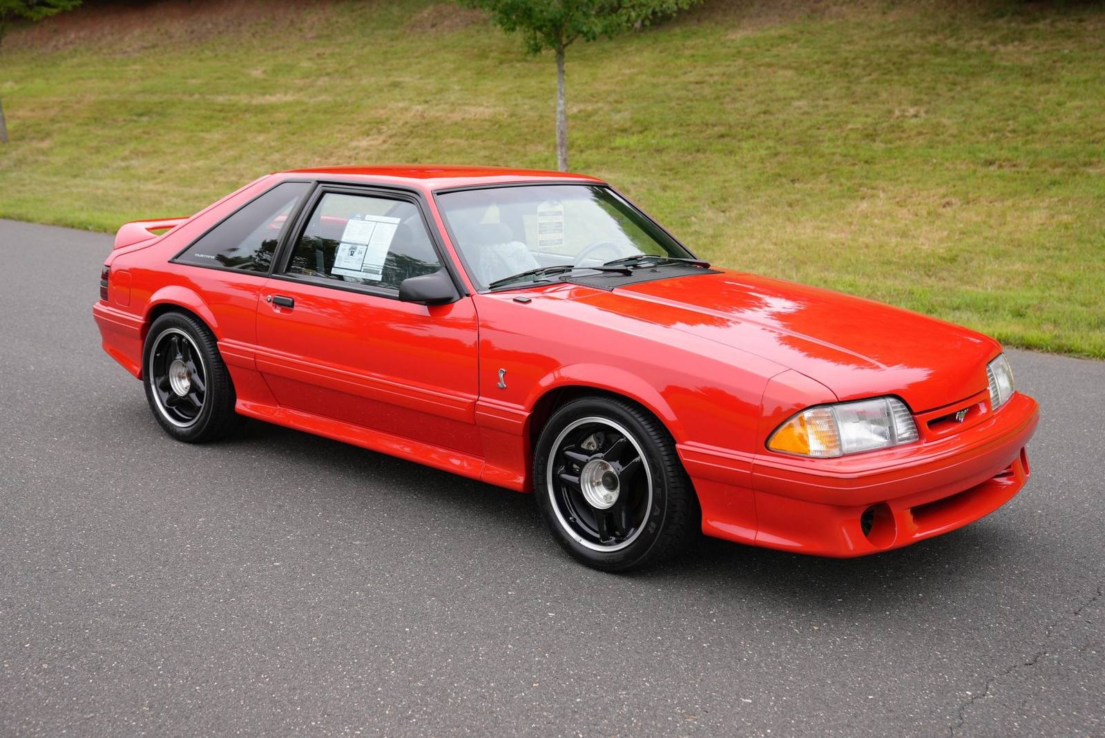 SVT Cobra R (Fox)