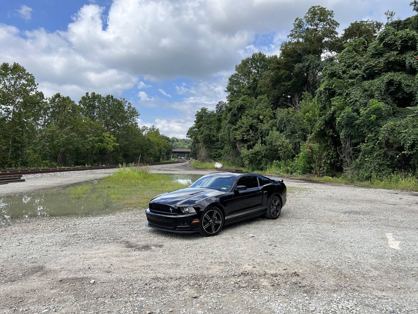 GT California Special (S197)