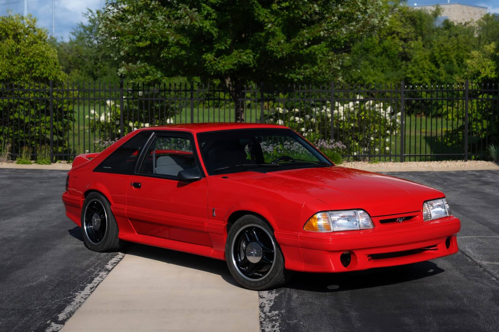 SVT Cobra R (Fox)
