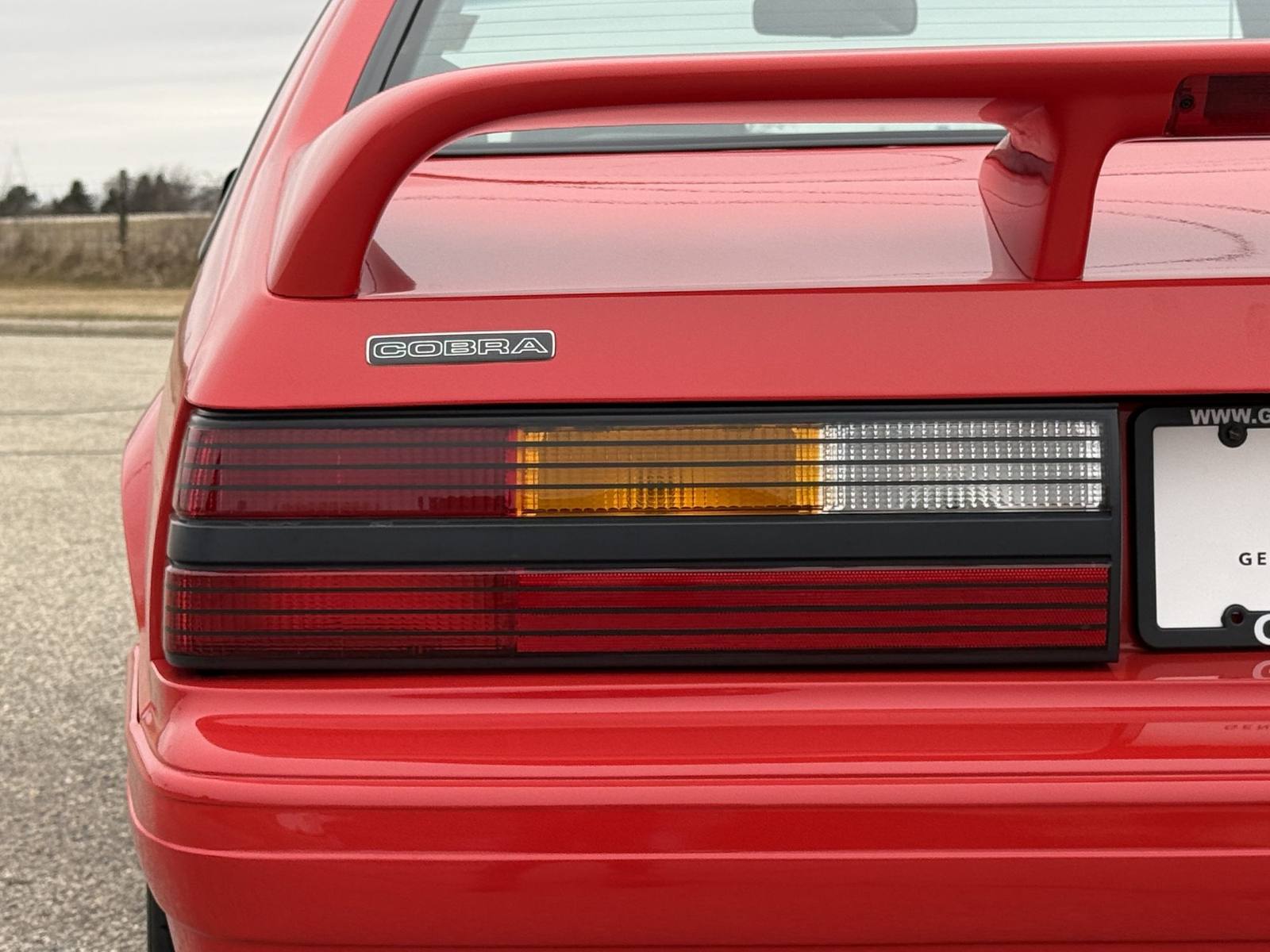 SVT Cobra (Fox)