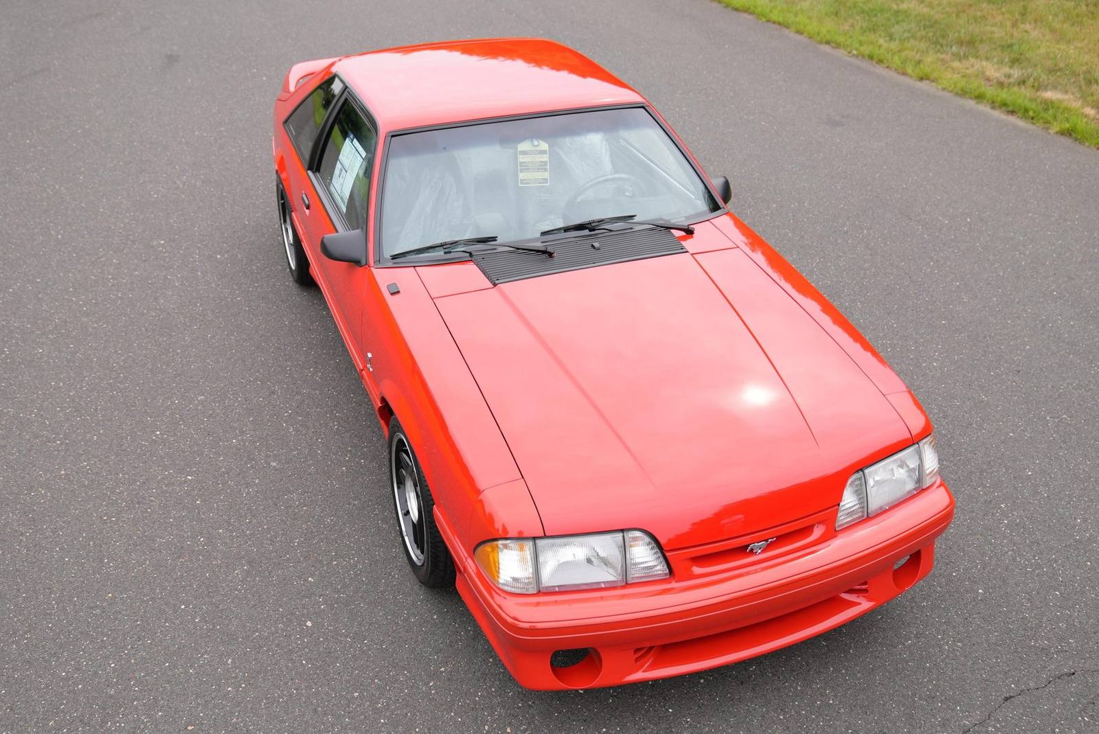 SVT Cobra R (Fox)
