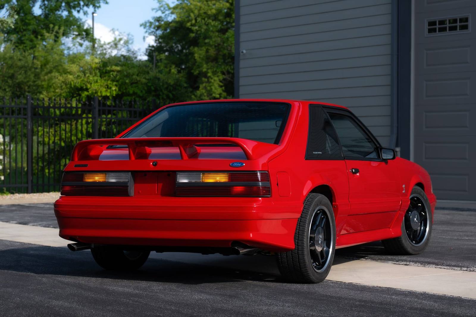 SVT Cobra R (Fox)